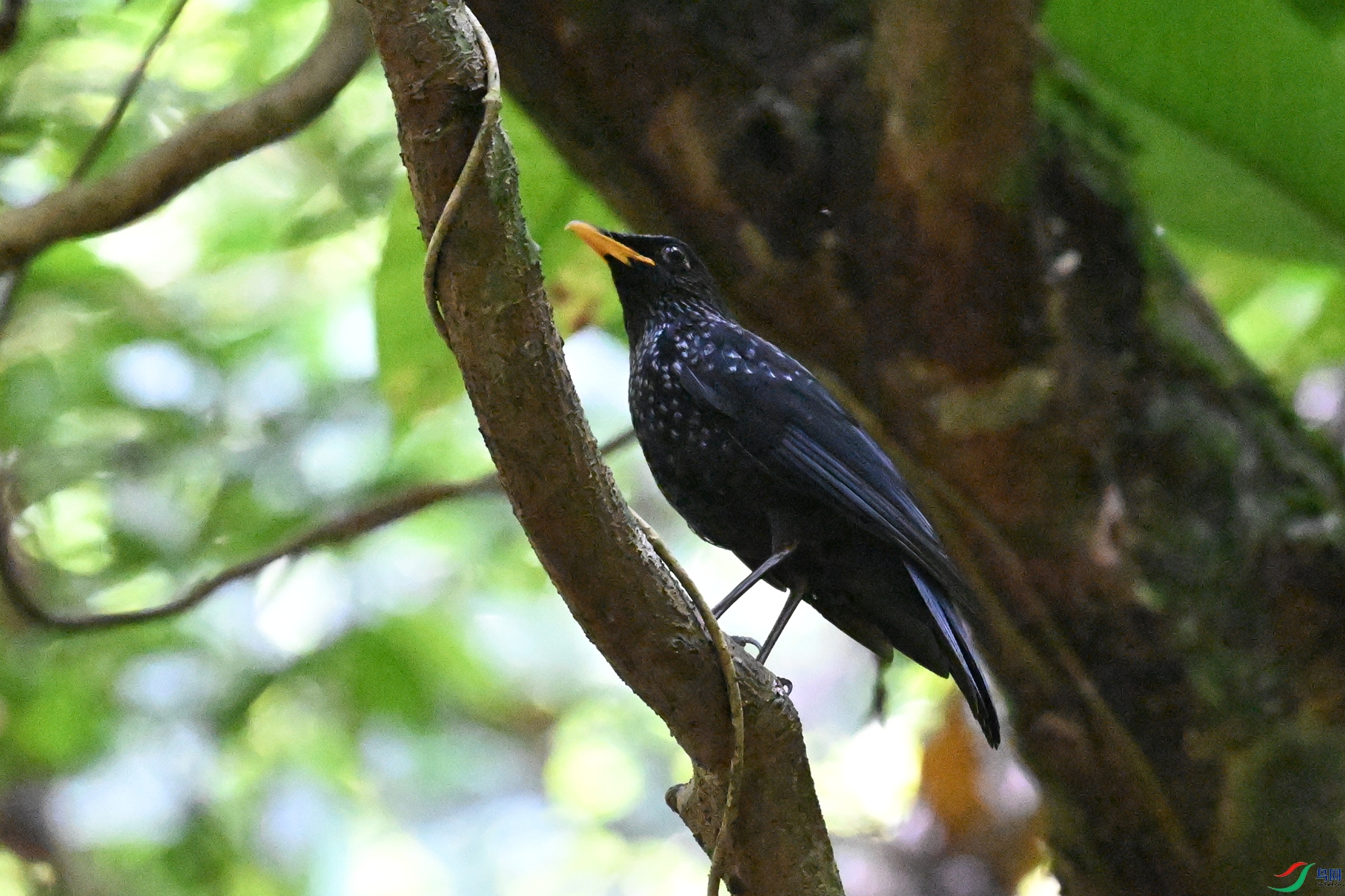 DSC_6581.JPG