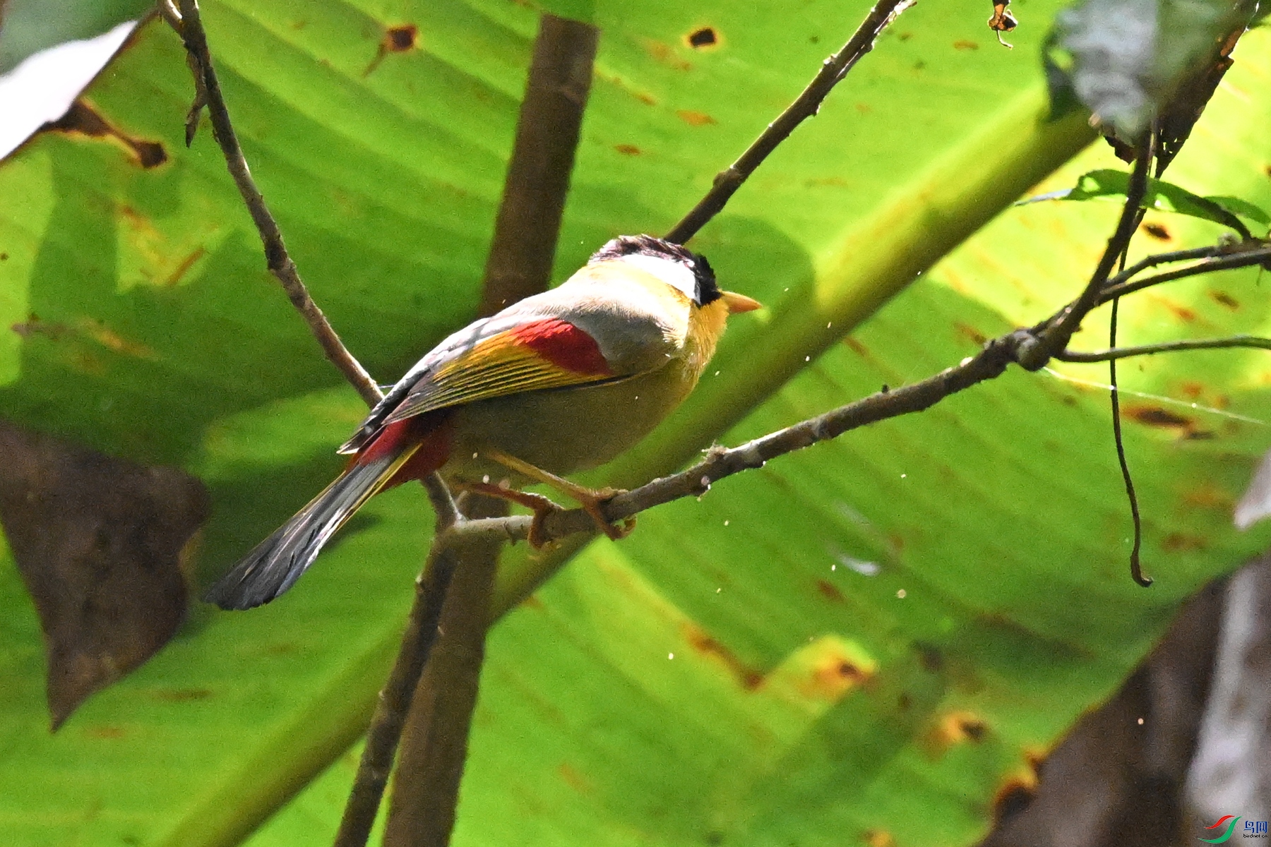 DSC_6587.JPG