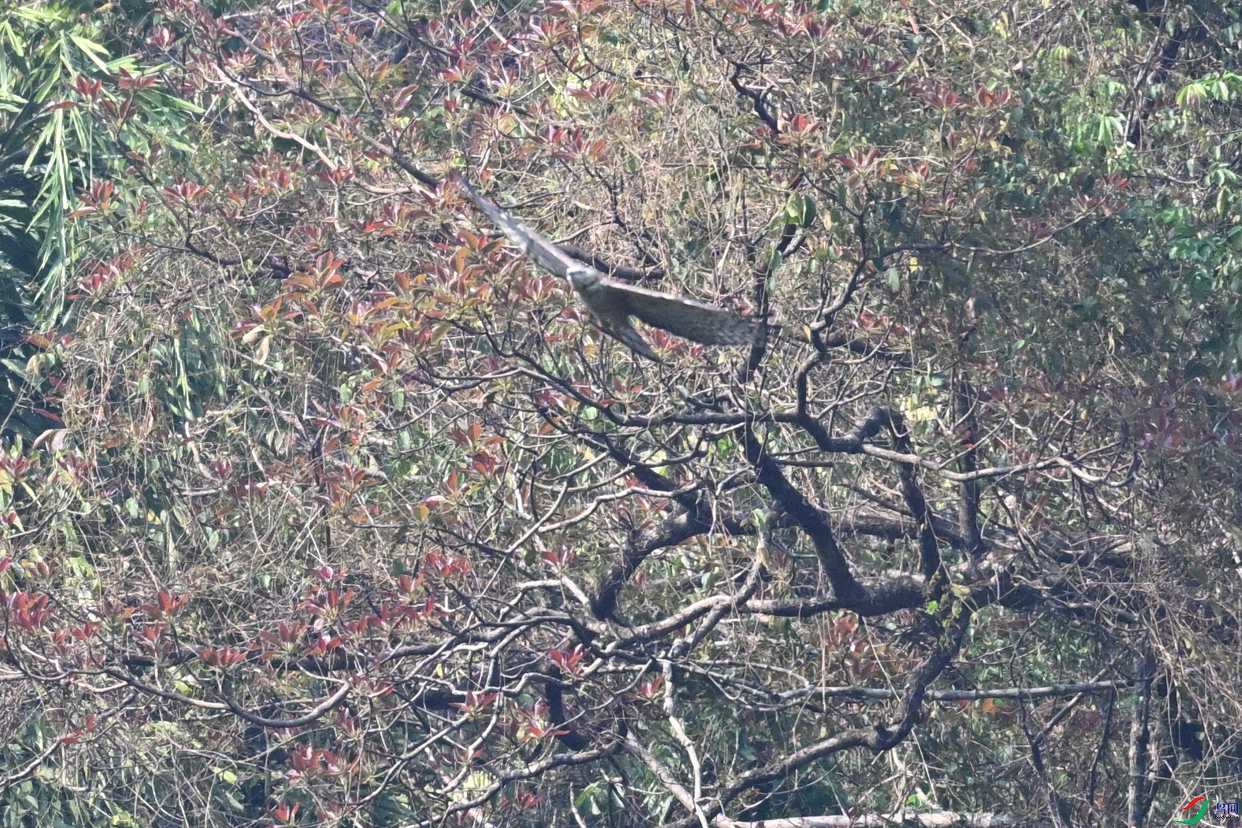 DSC_6645.JPG