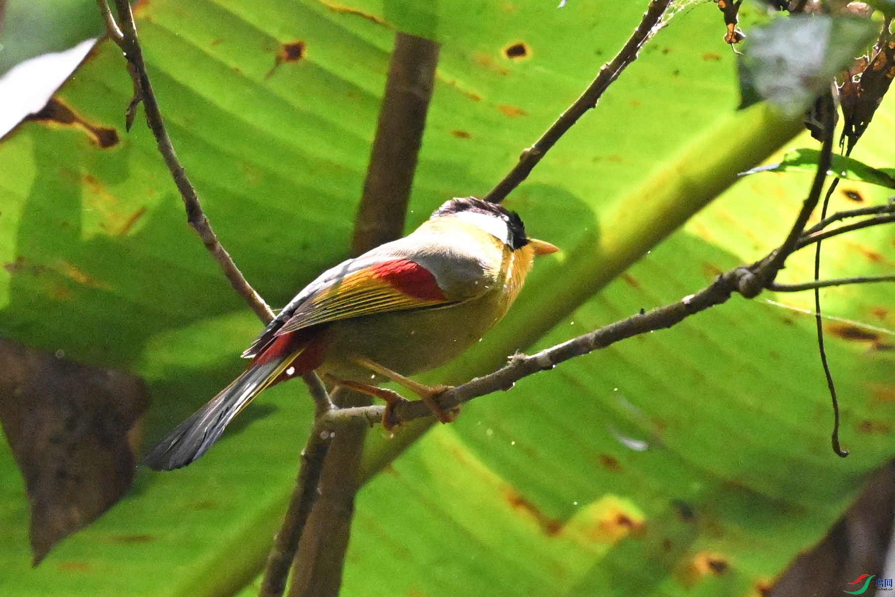 DSC_6588.JPG