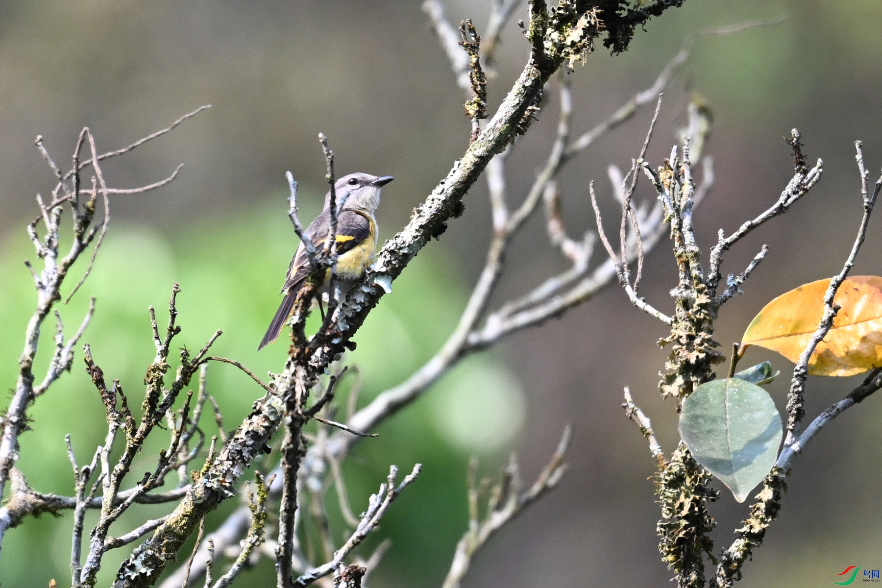 DSC_6614.JPG