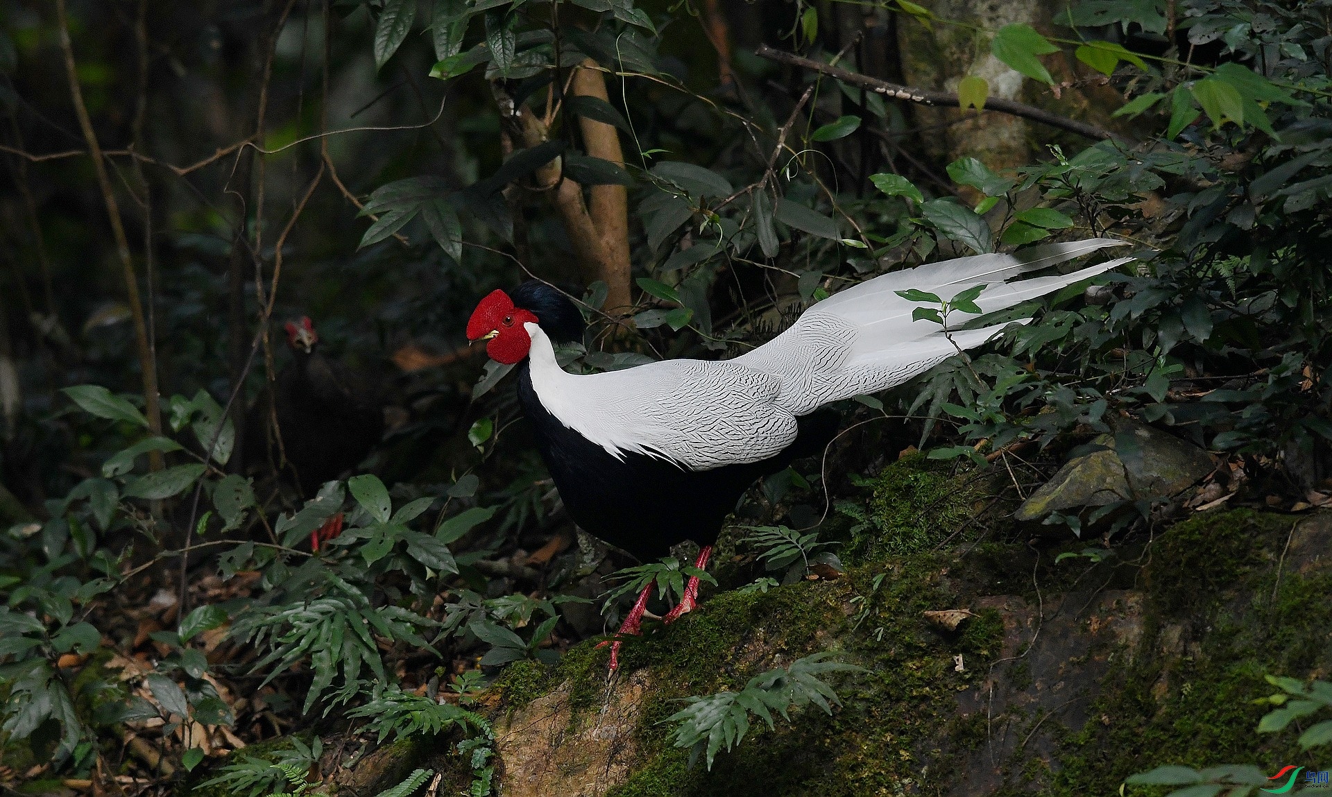 DSC_2582.jpg