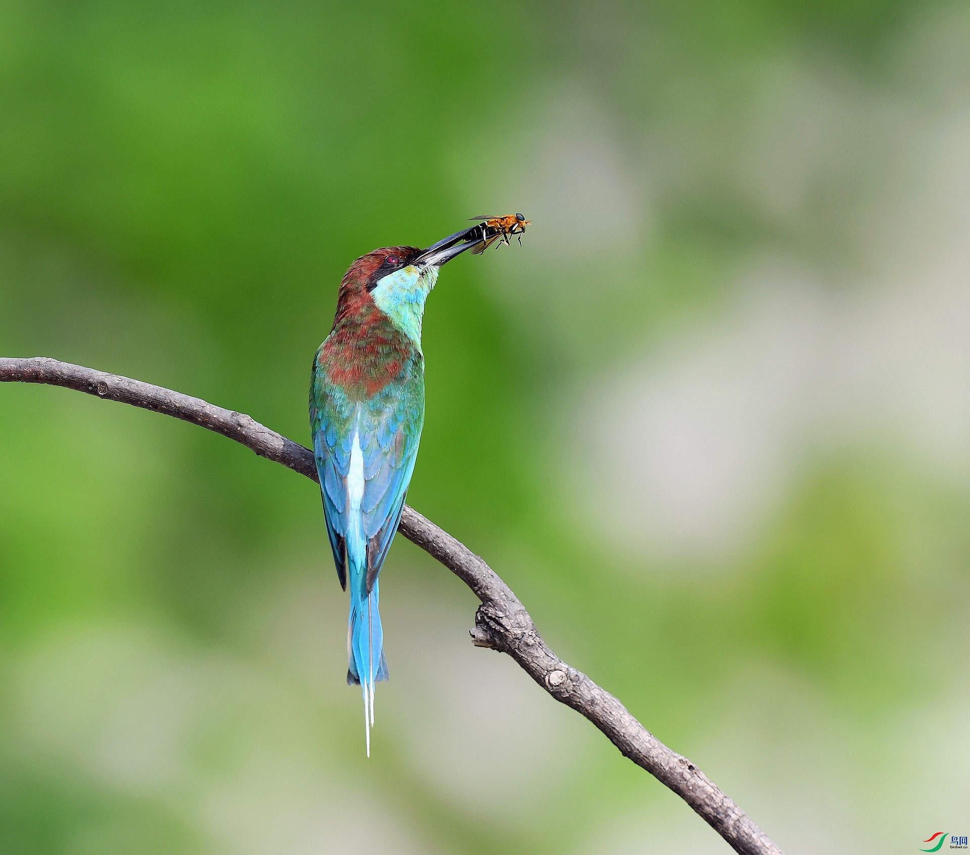 DSC_0579.jpg