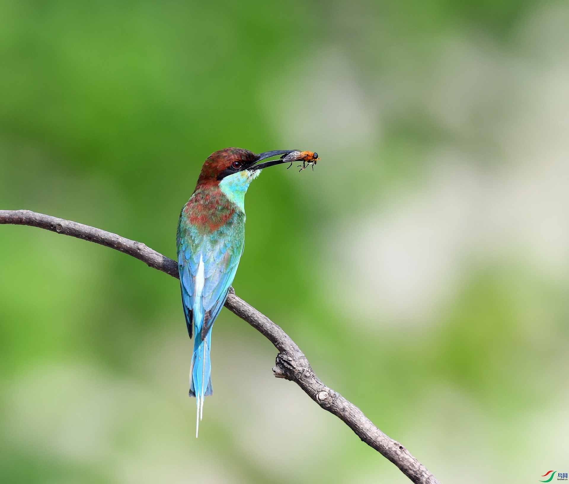 DSC_0567.jpg