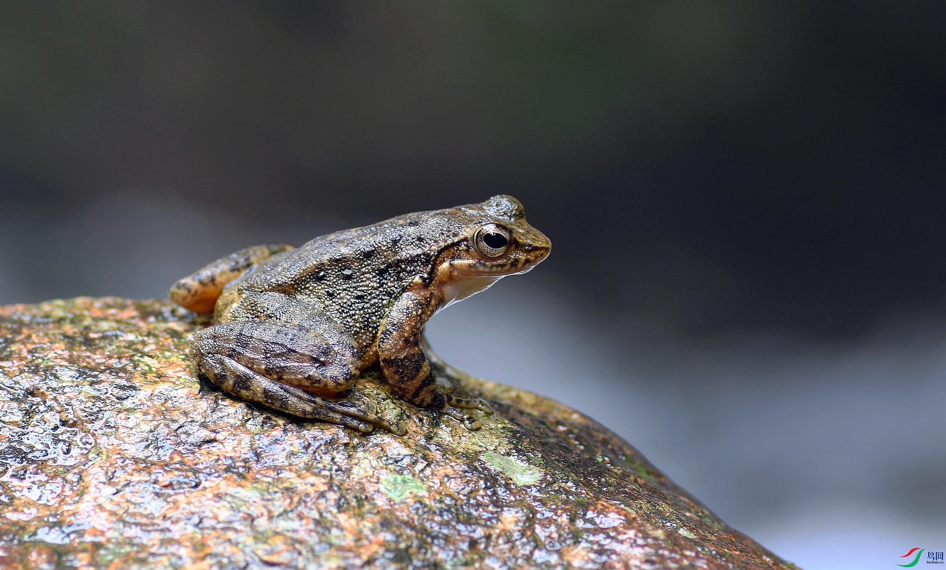 DSC_2356.jpg