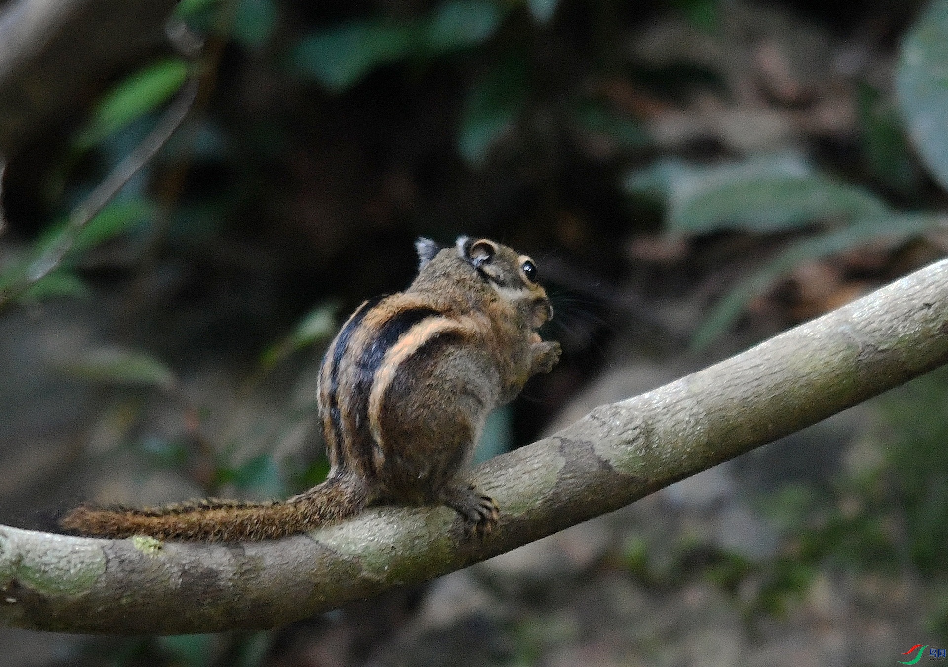 DSC_2349.jpg