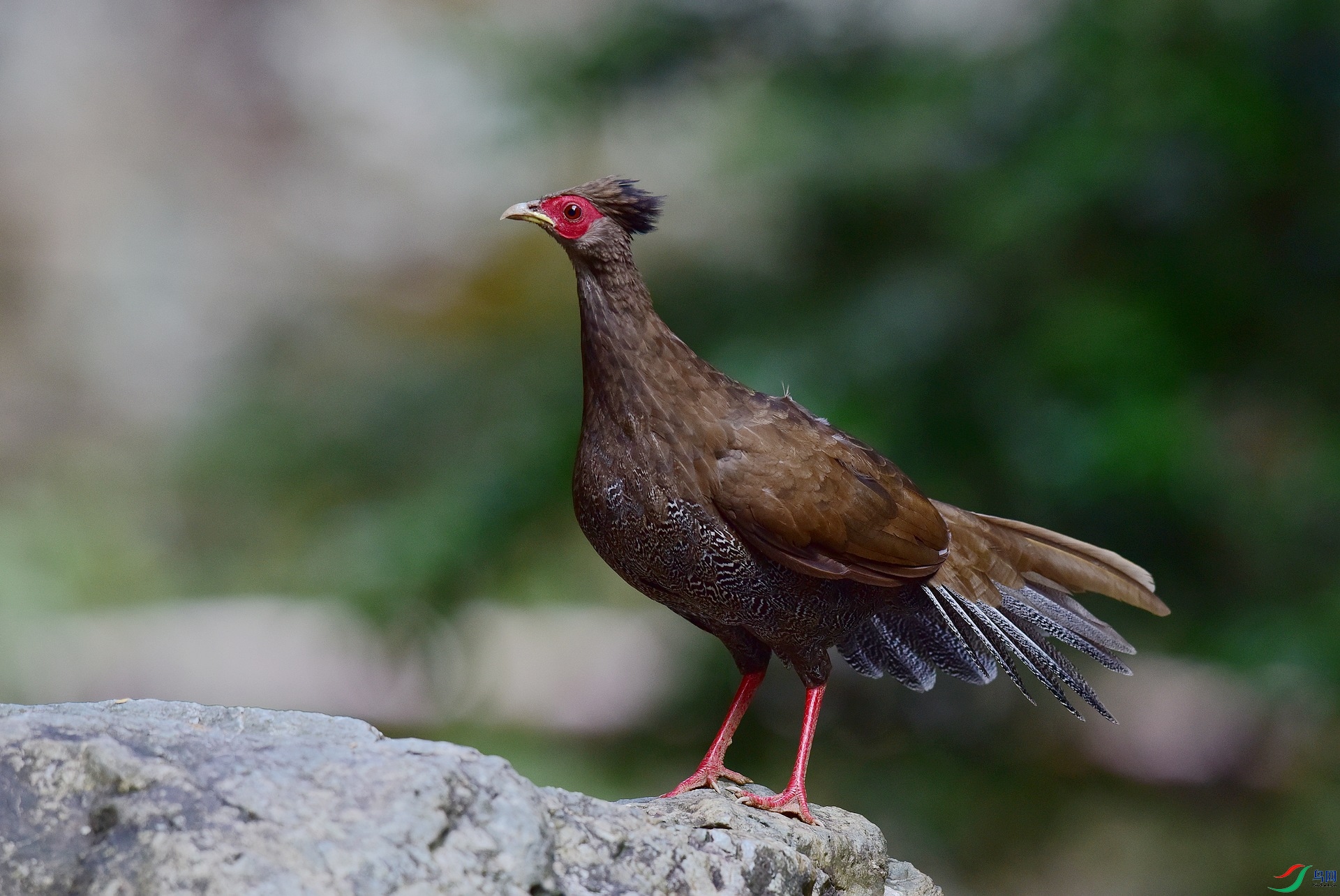 D8I_0625.jpg