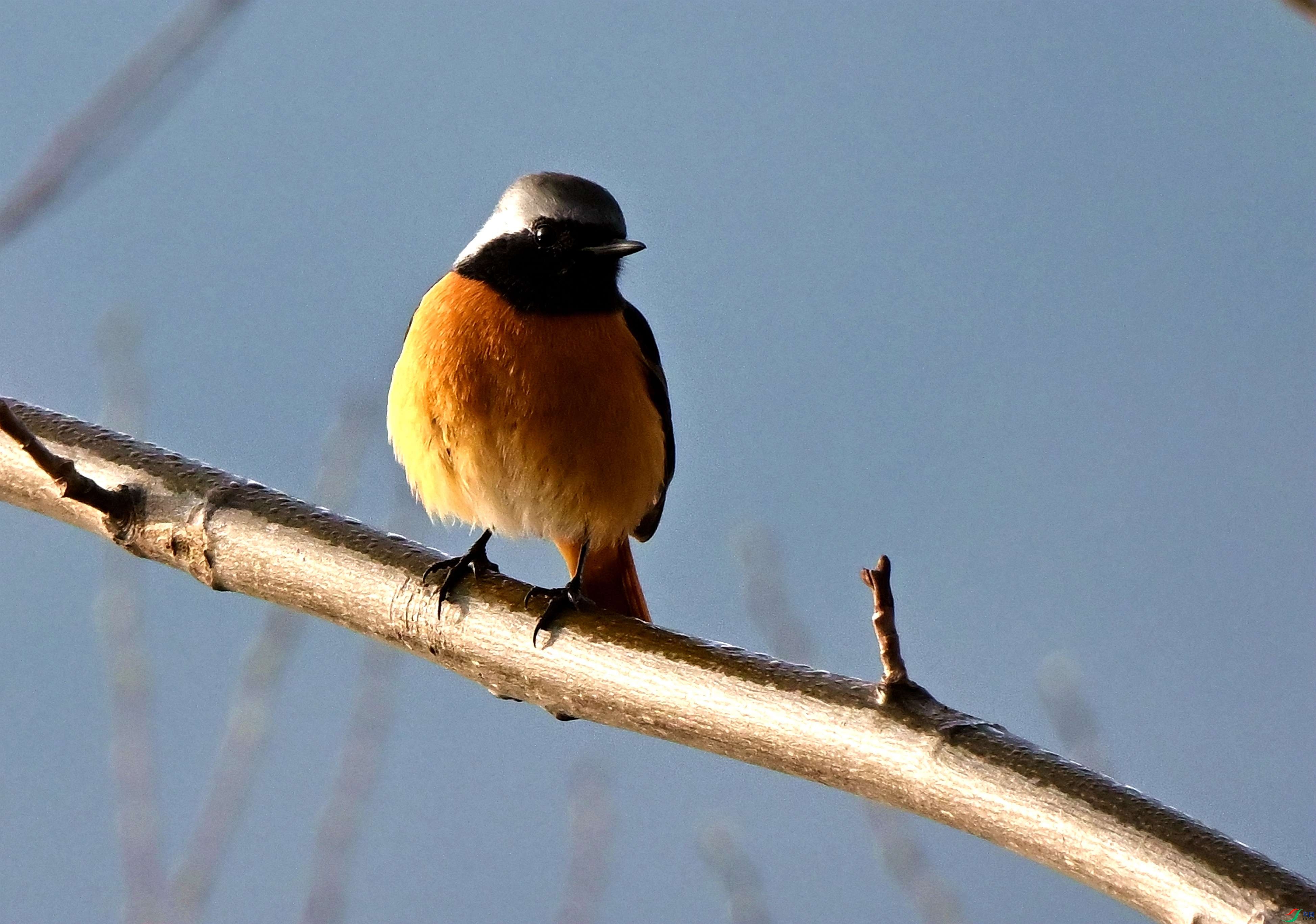 DSC_2618.JPG