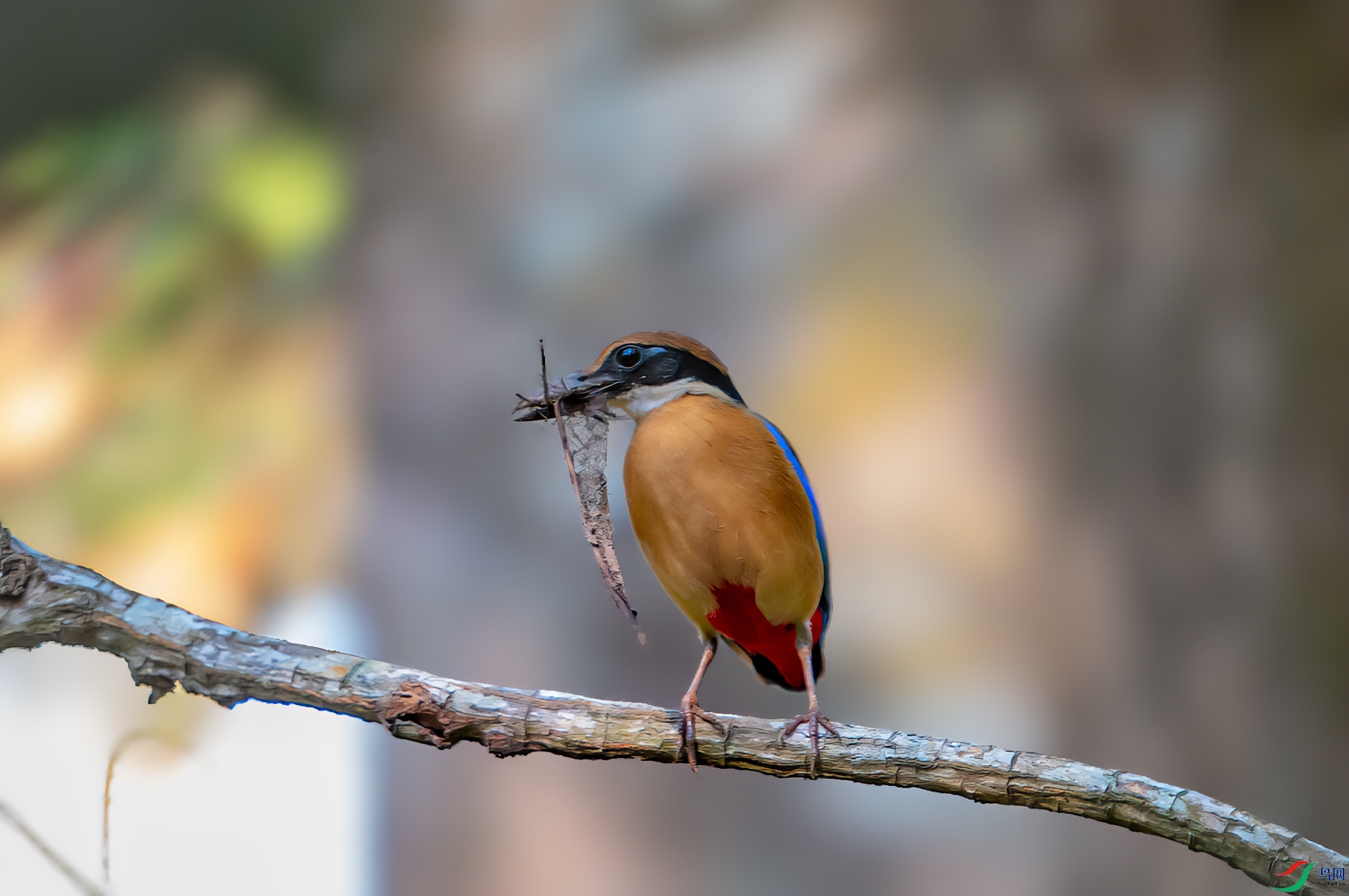 DSC_1354-11.jpg