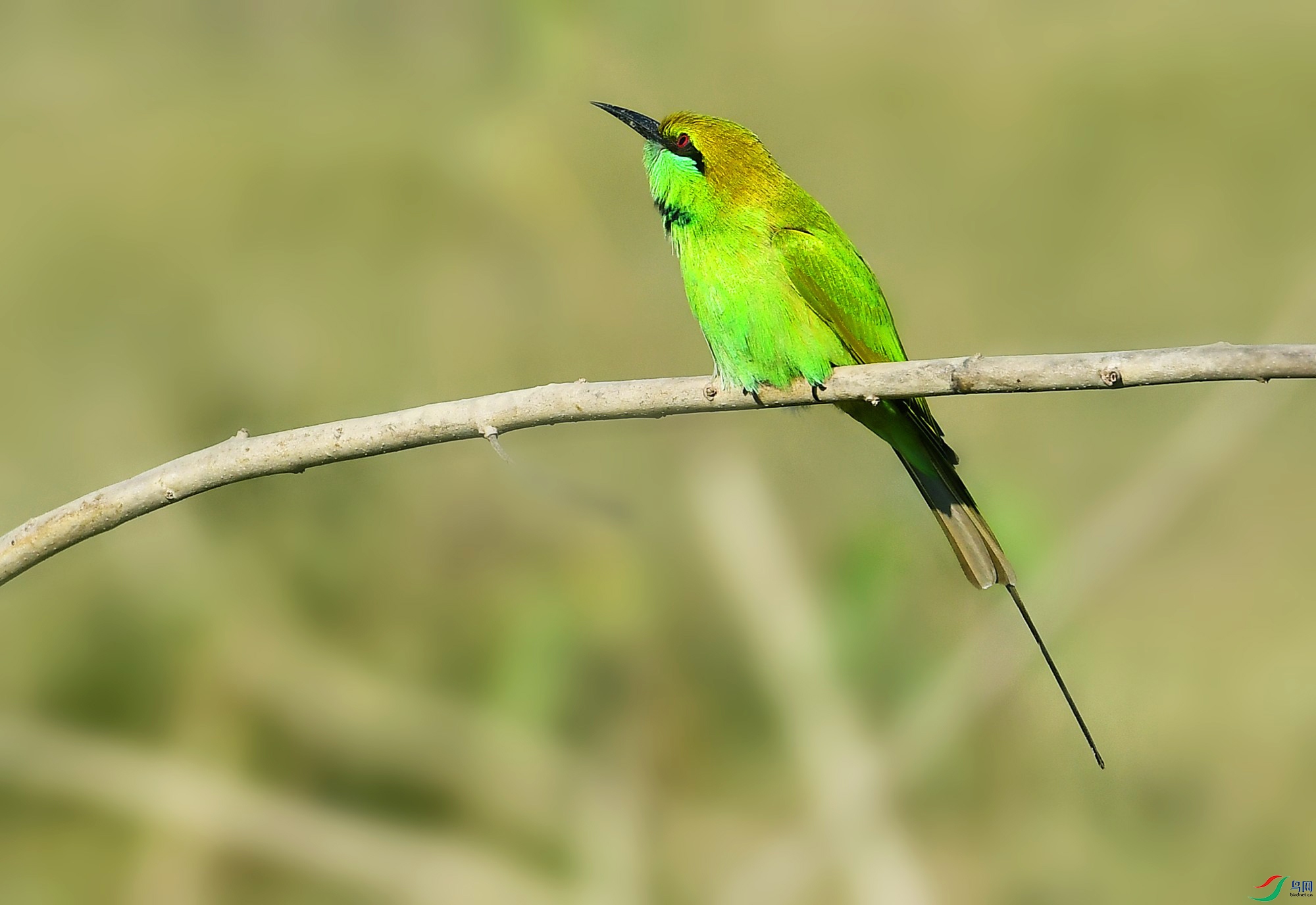 DSC_8406_.jpg