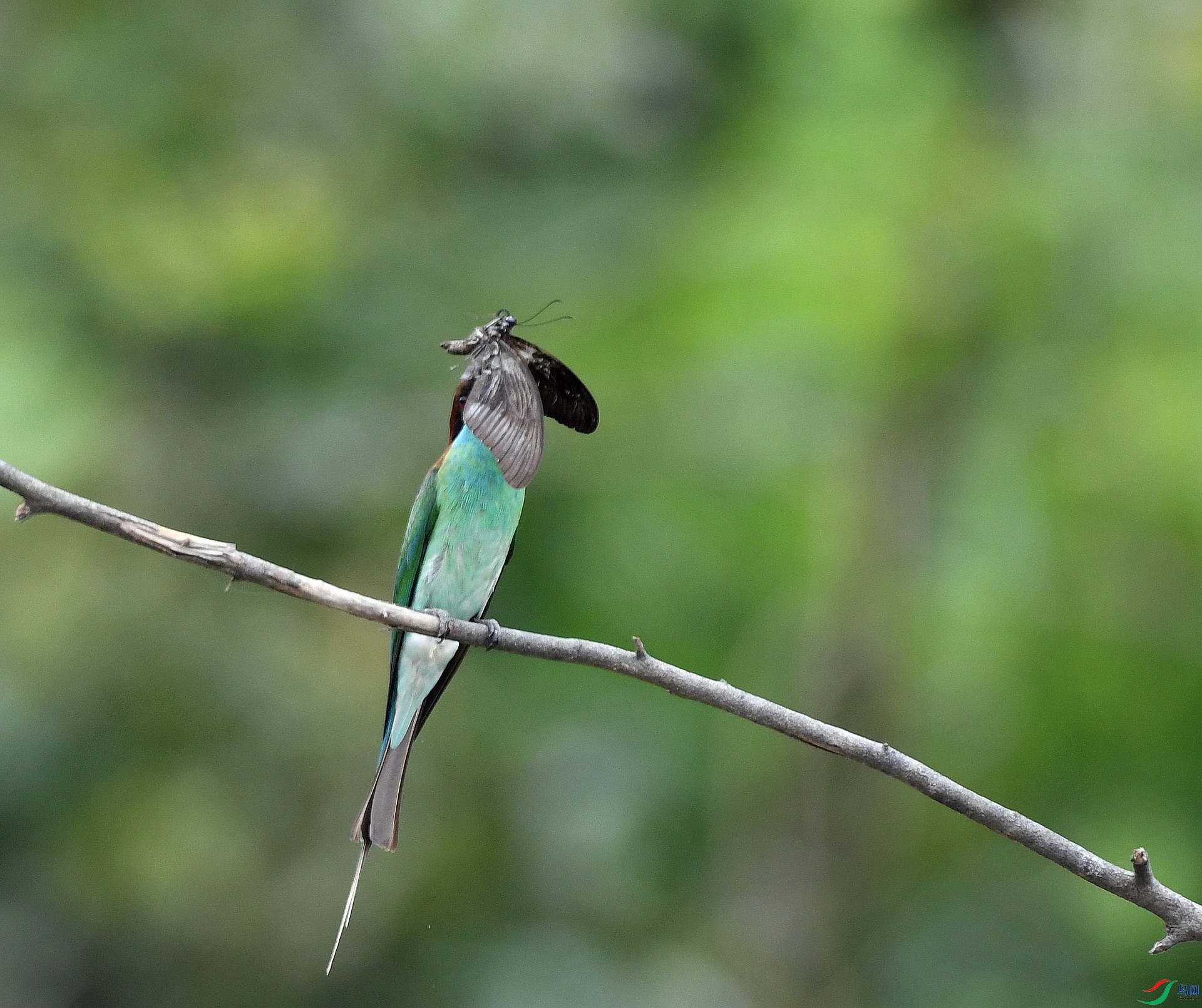 DSC_6404.jpg