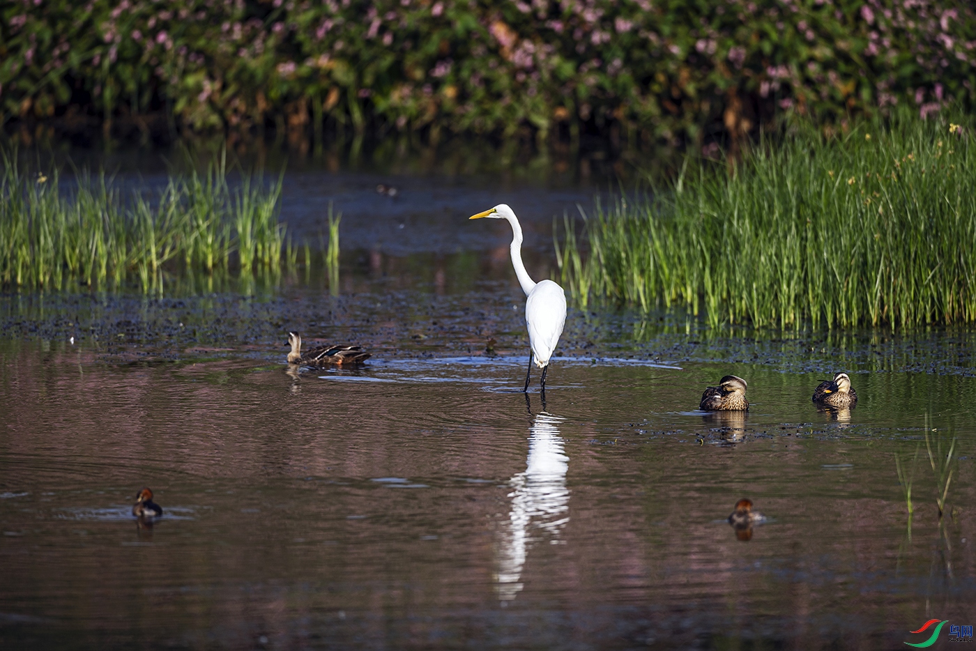 _5LM7569.jpga.jpg