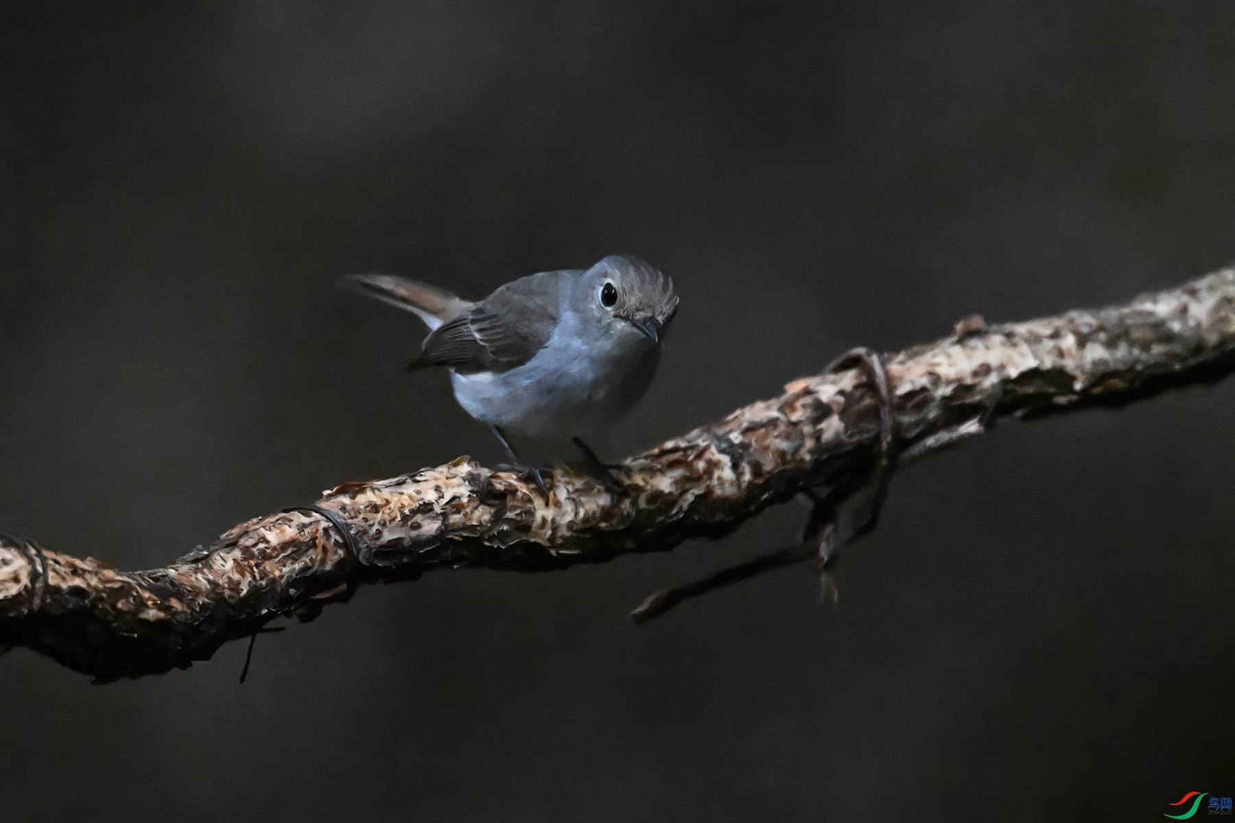 DSC_6707.JPG