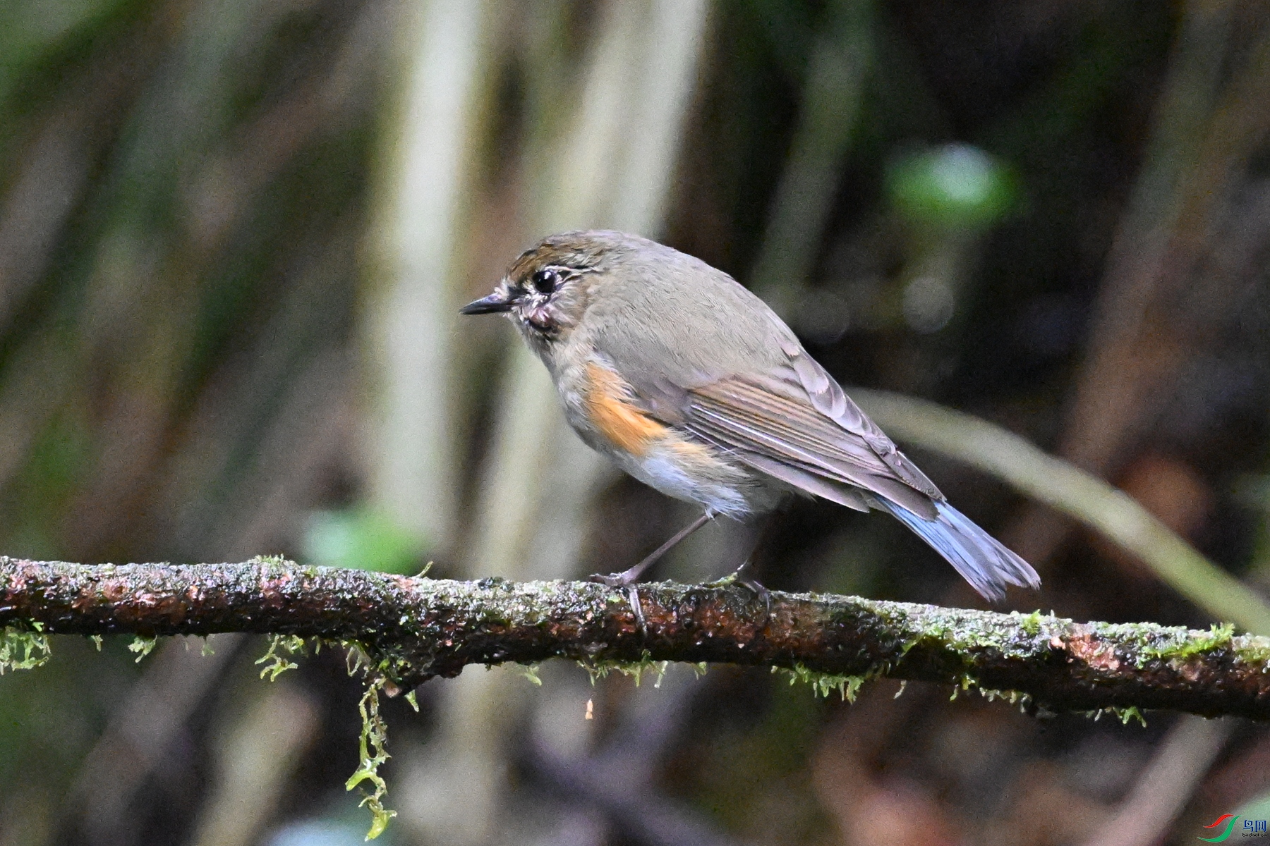 DSC_6760.JPG