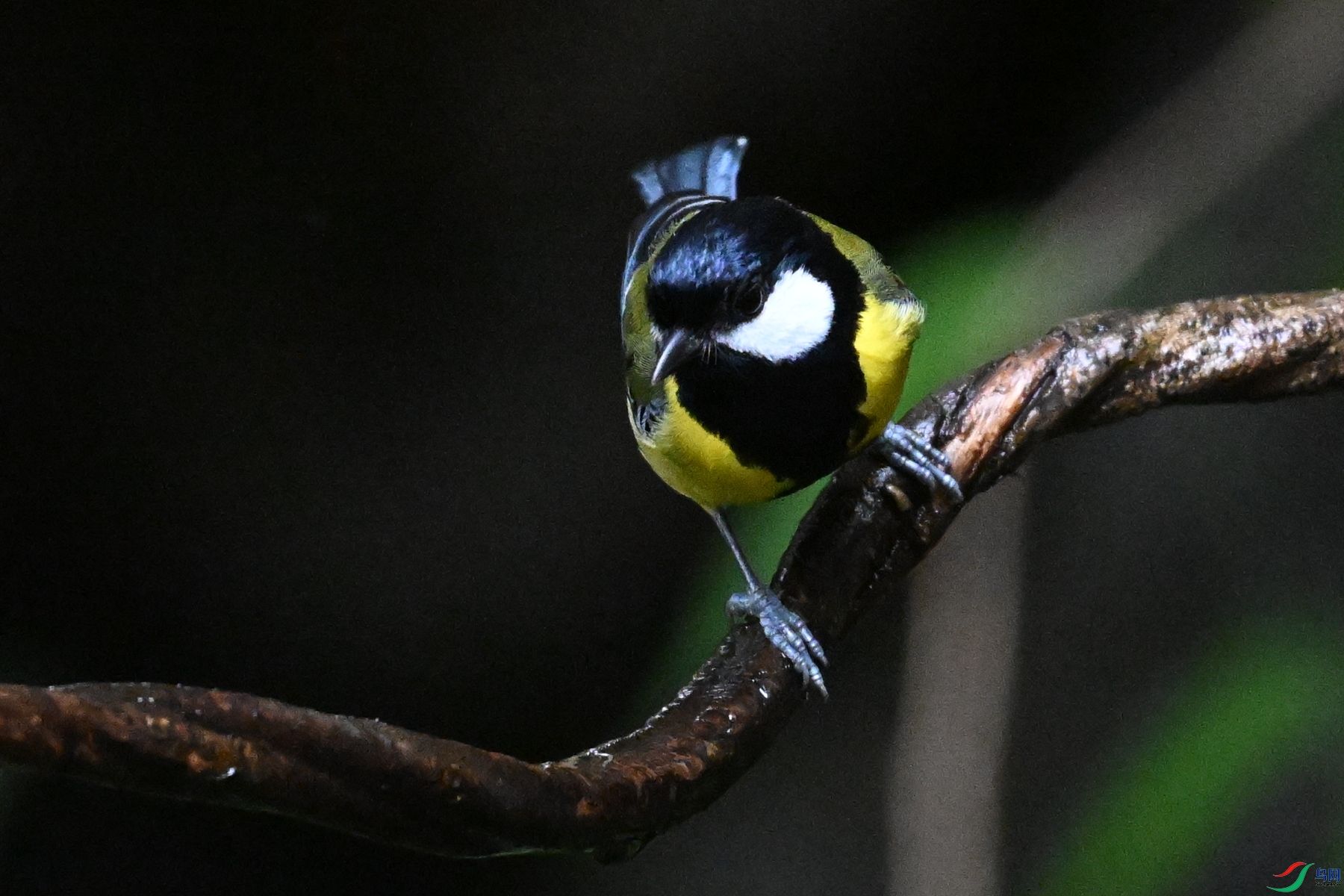 DSC_6763.JPG