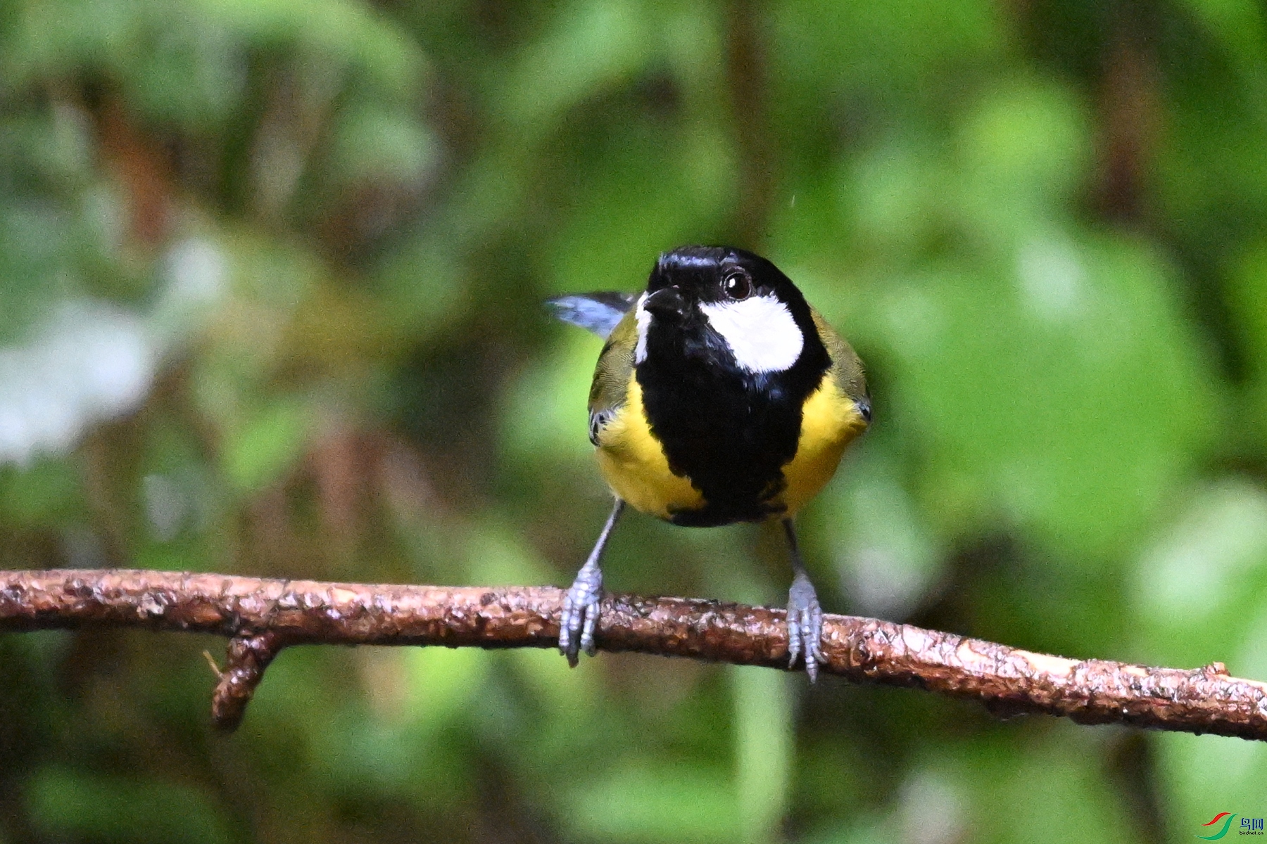 DSC_6765.JPG