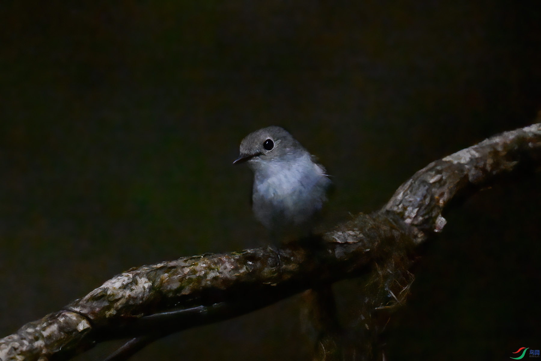 DSC_6710.JPG