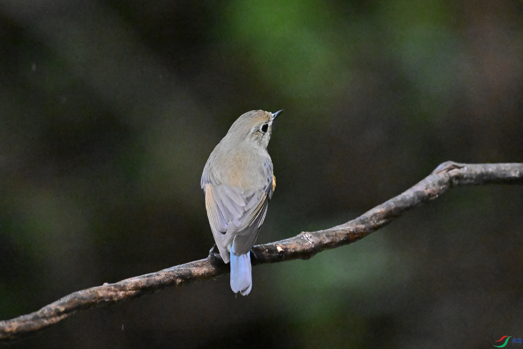 DSC_6717.JPG