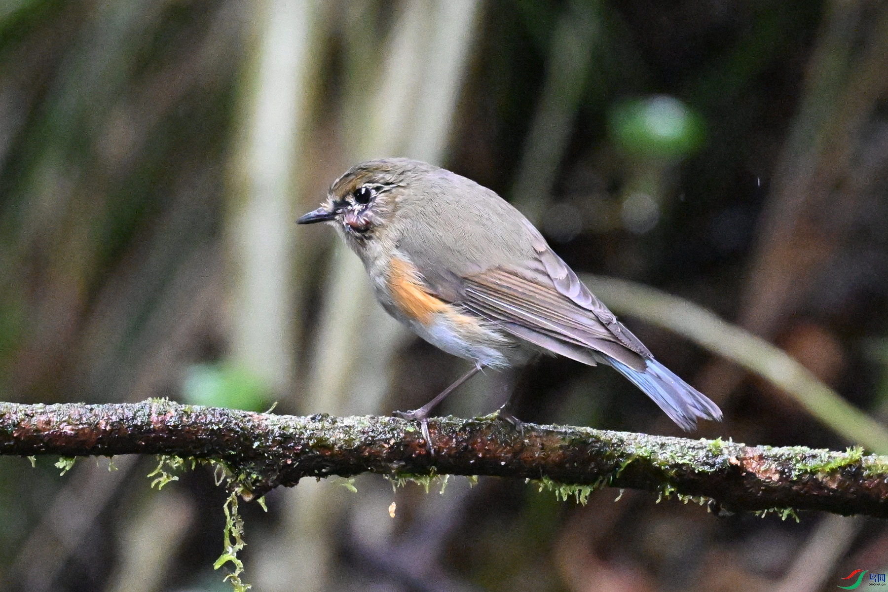 DSC_6758.JPG