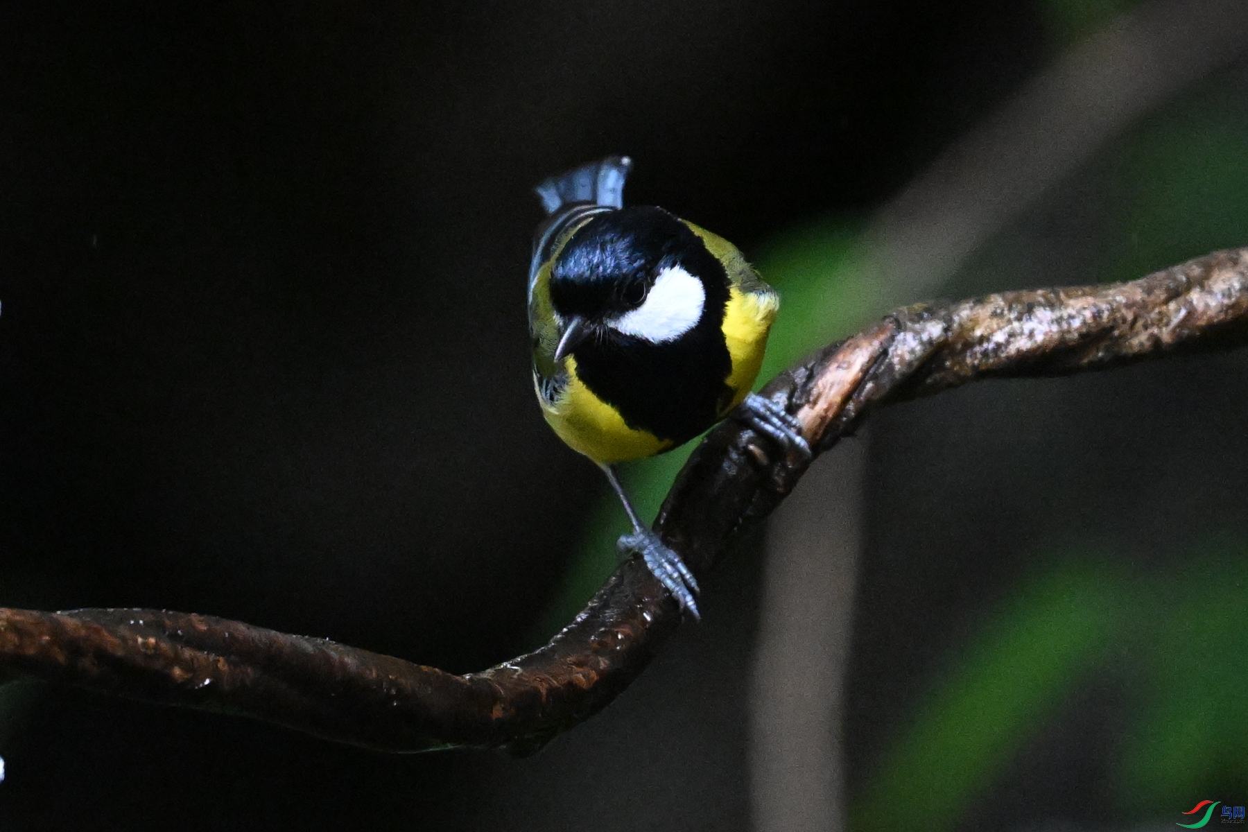 DSC_6762.JPG