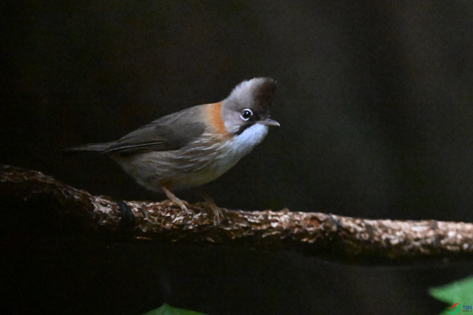 DSC_6780.JPG