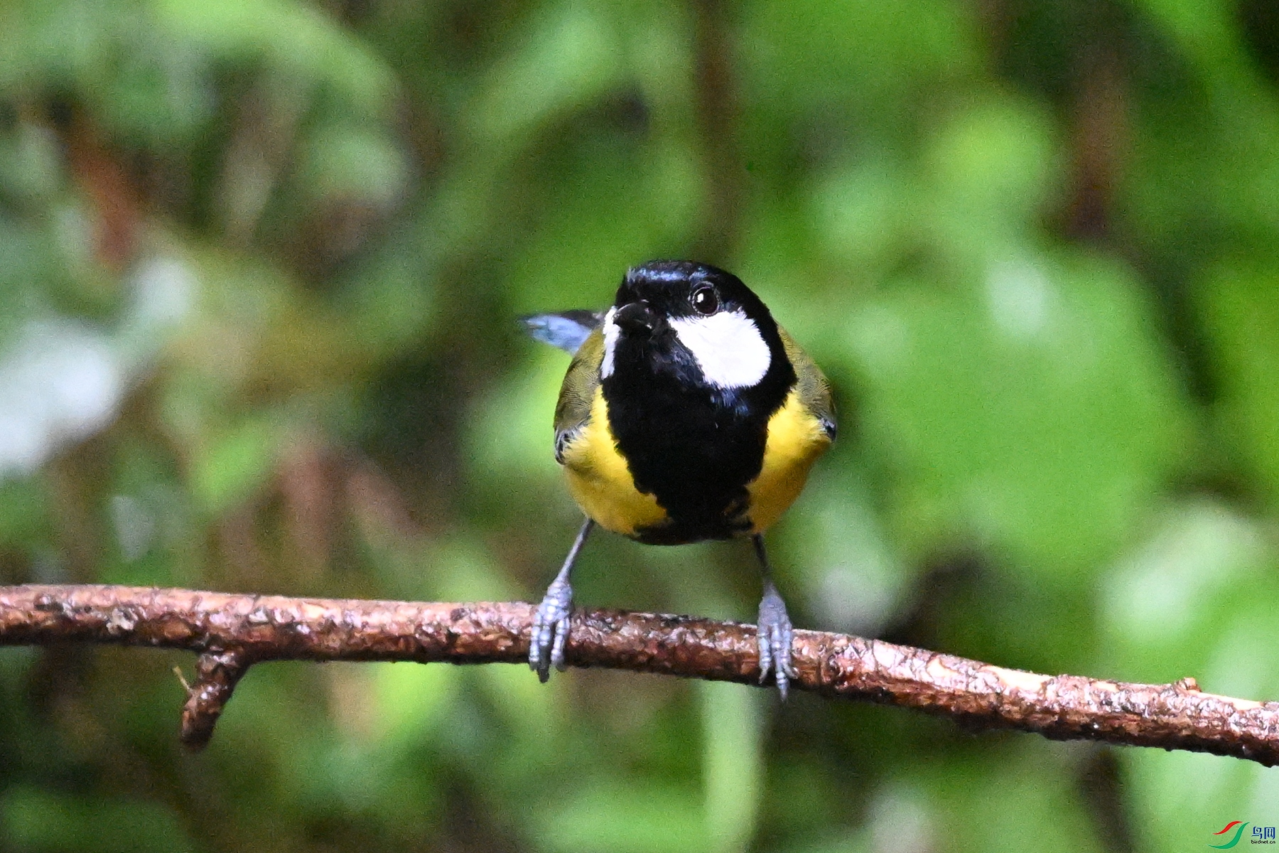 DSC_6766.JPG