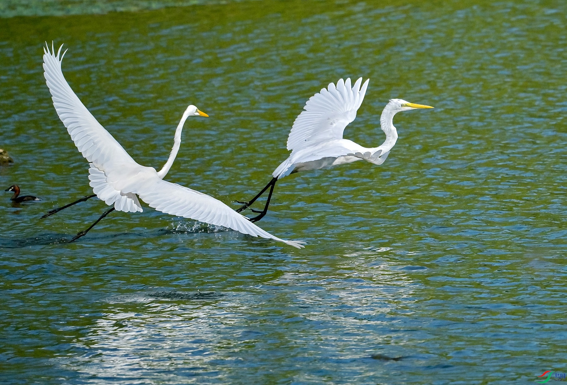 DSC_0766����.jpg