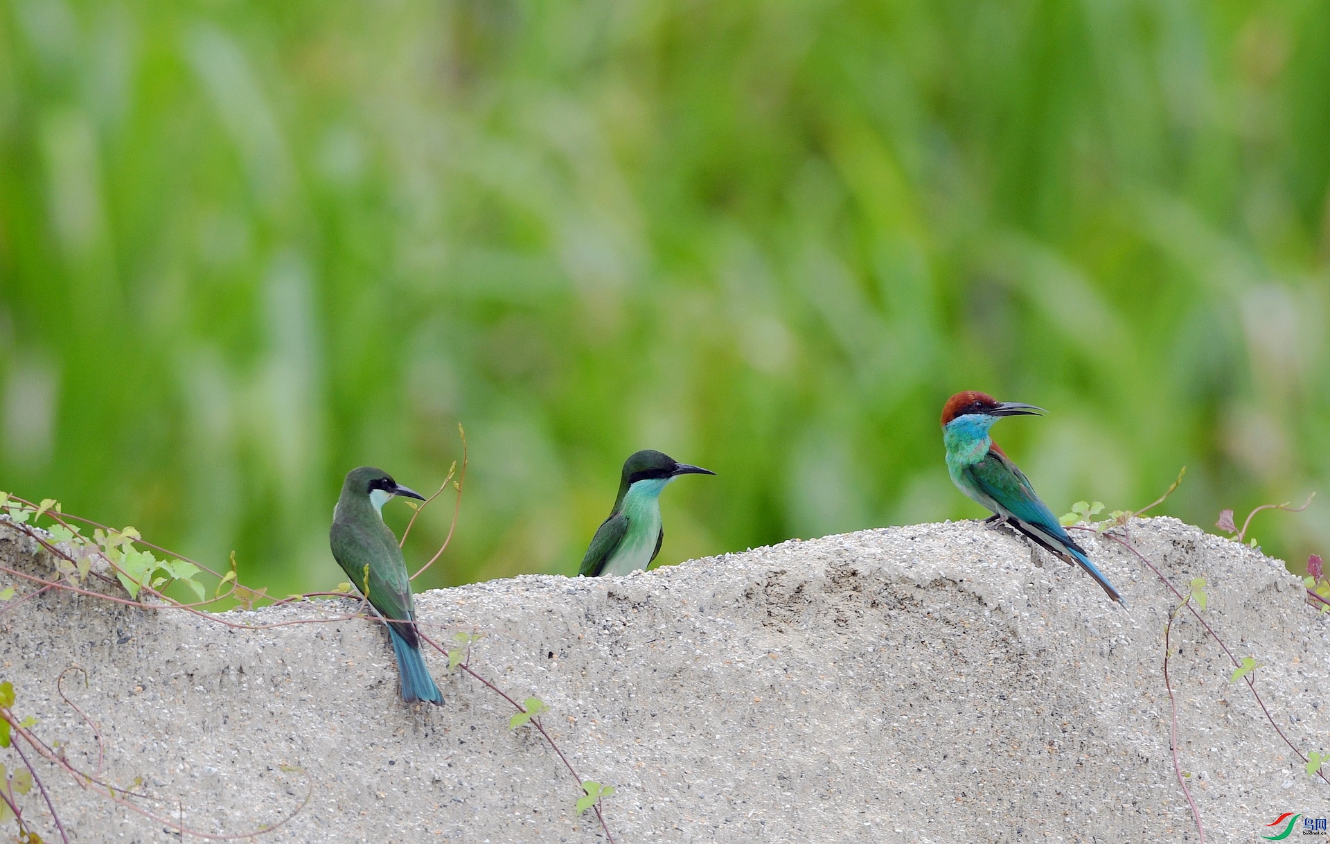 DSC_3151.jpg