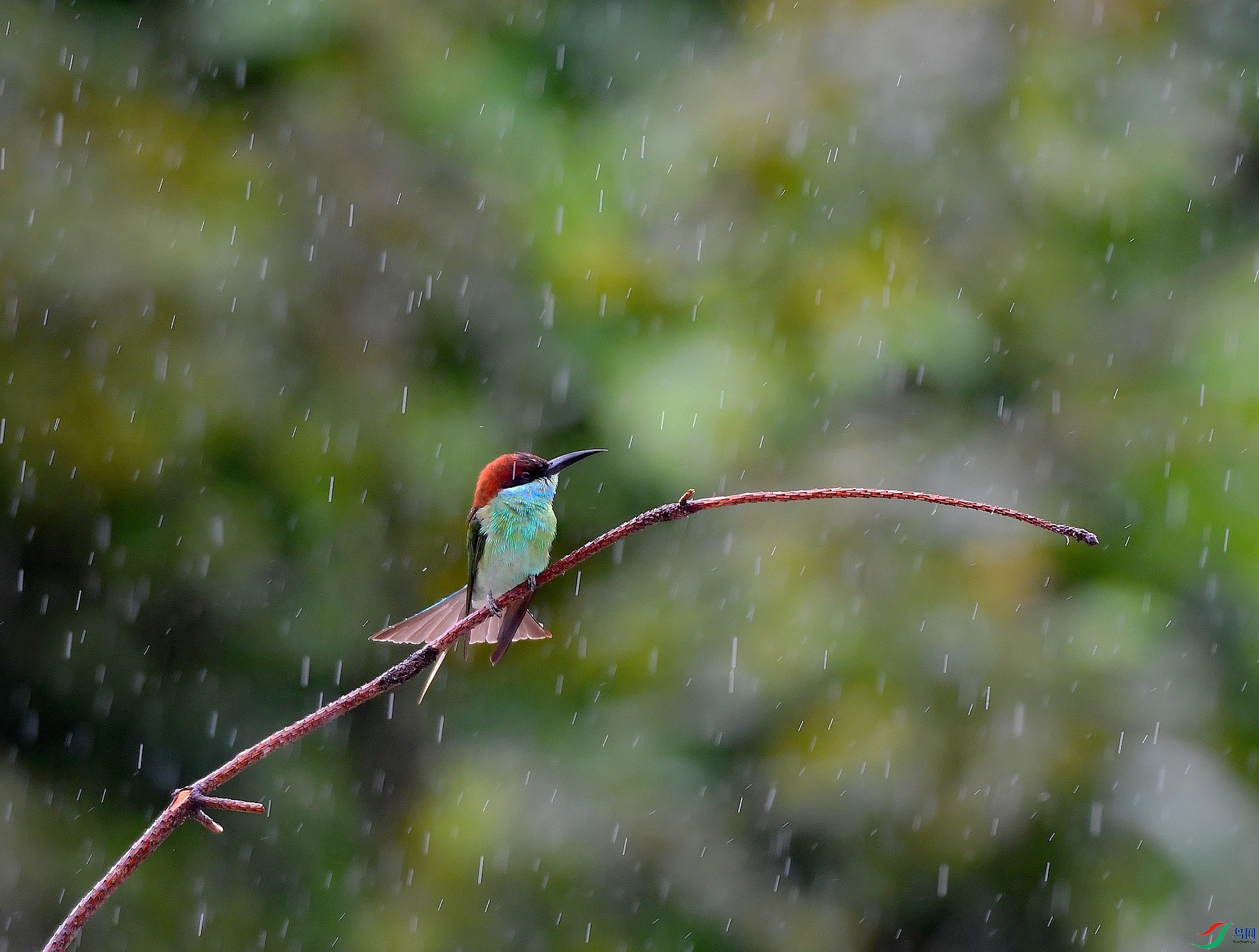 DSC_4147.jpg
