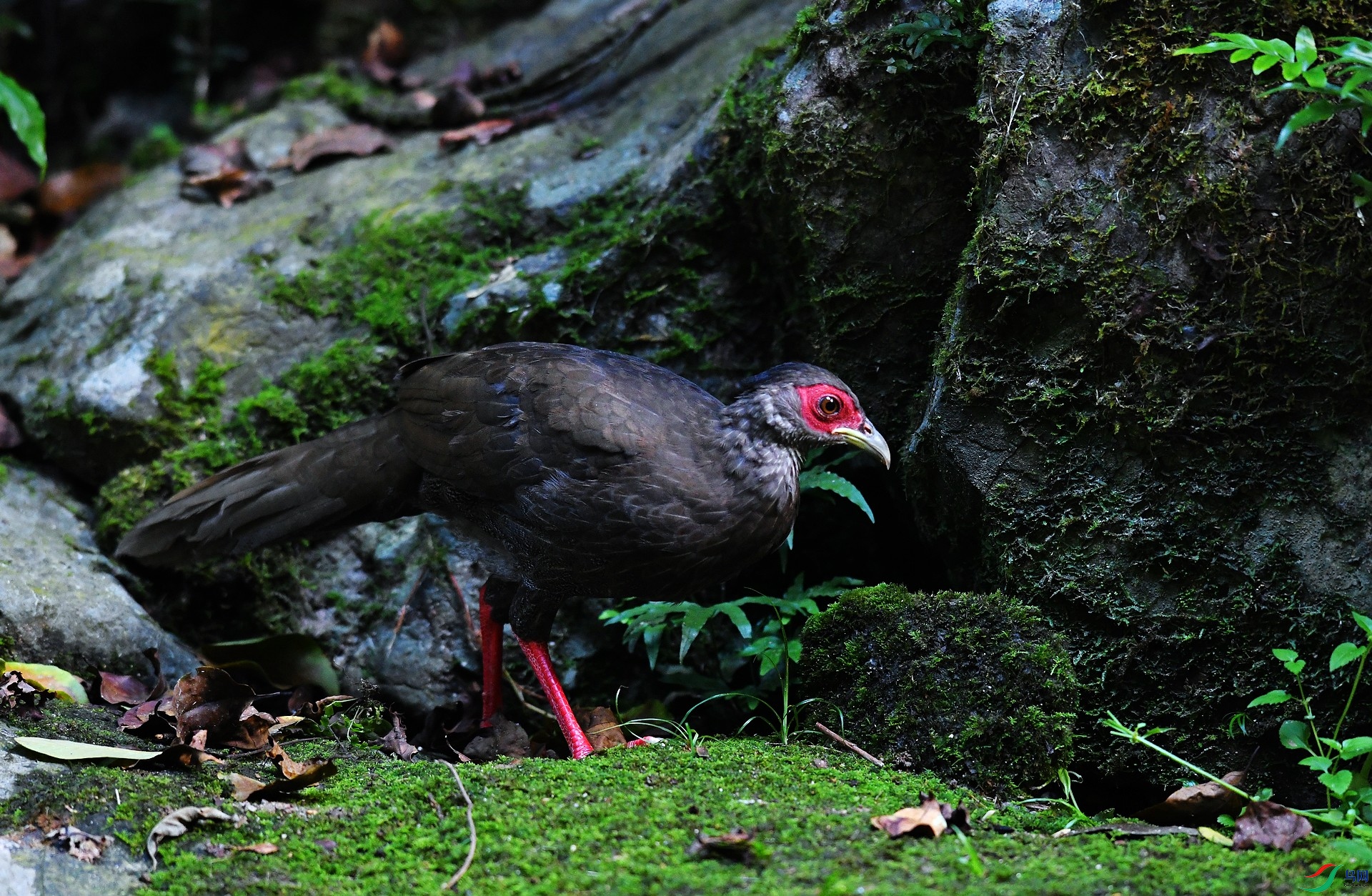 DSC_2148.jpg