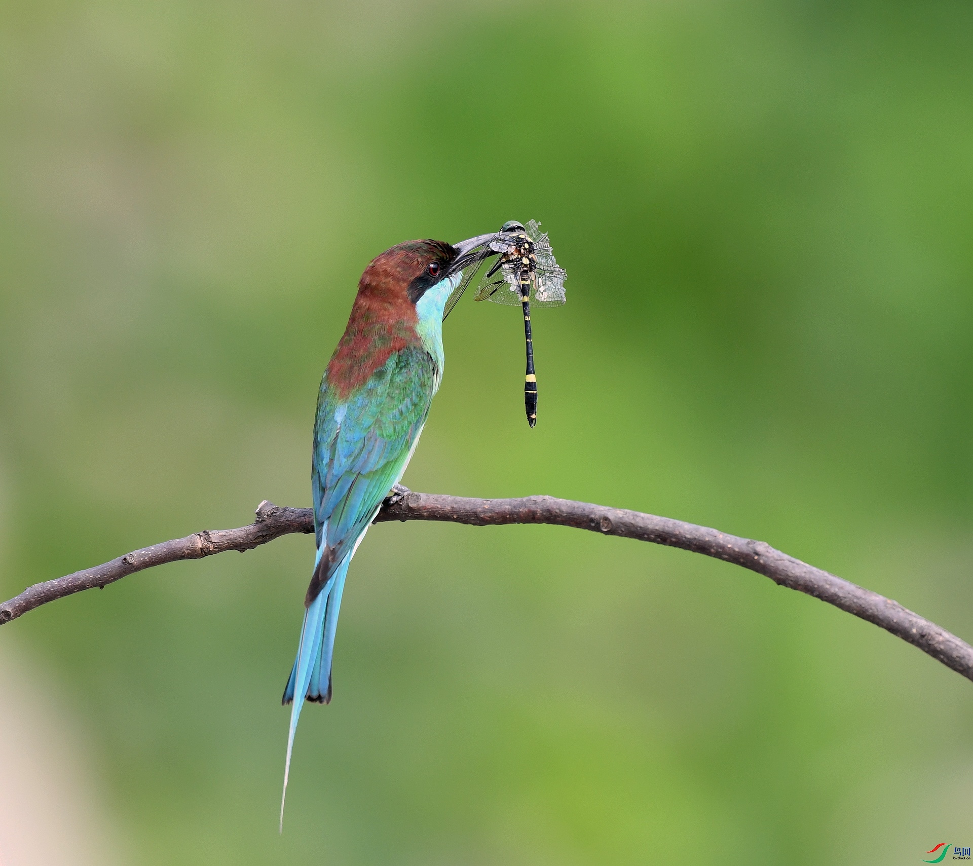 DSC_2665.jpg