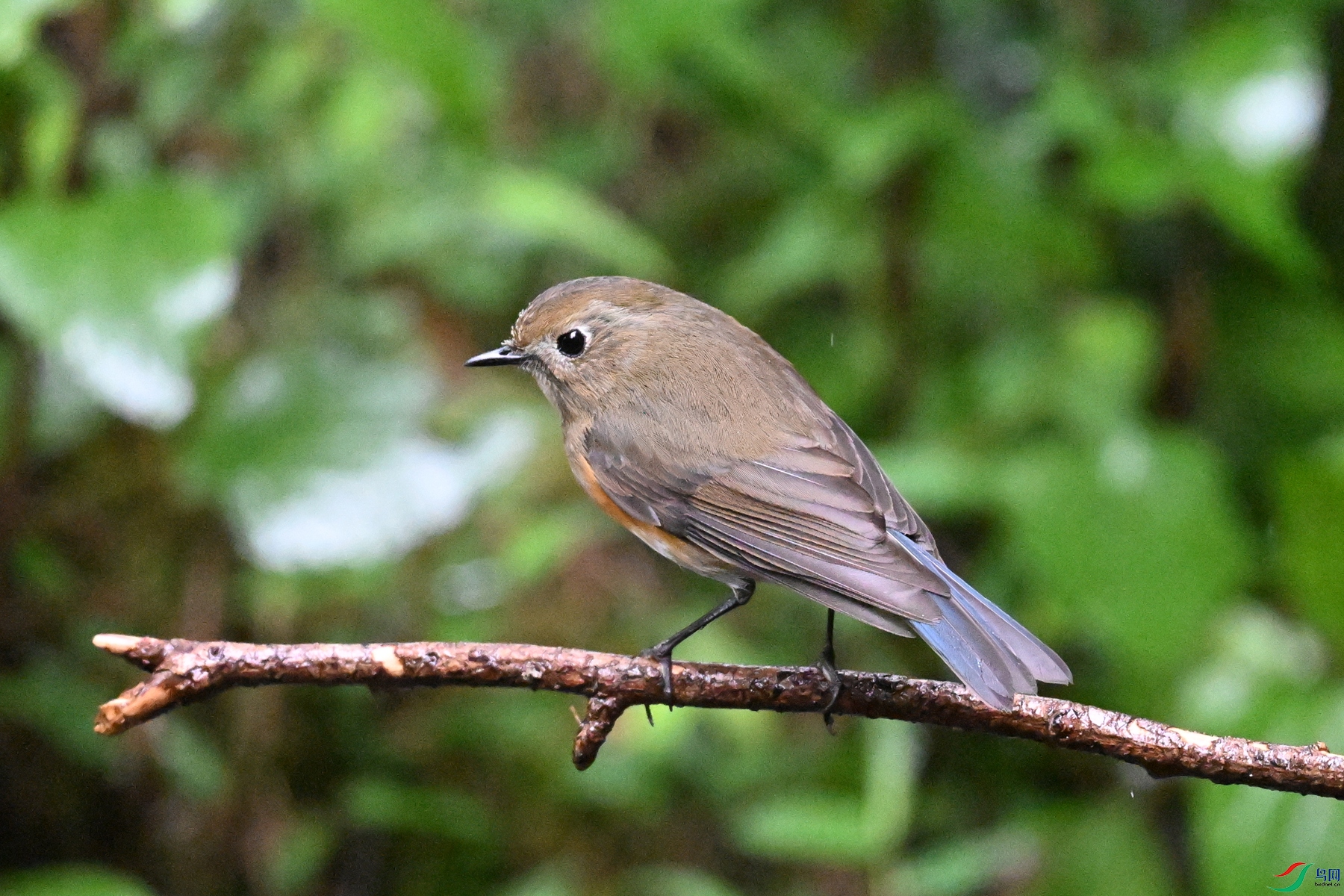 DSC_6724.JPG