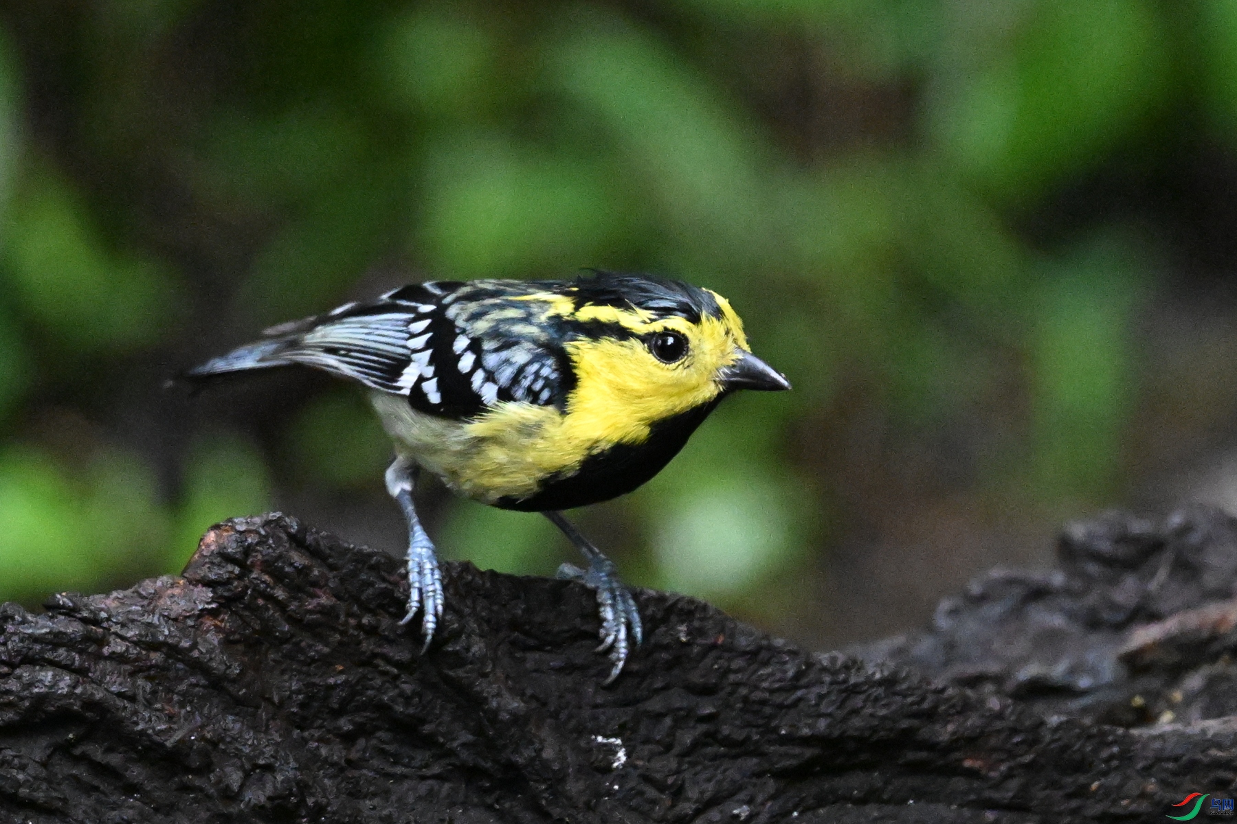 DSC_6771.JPG