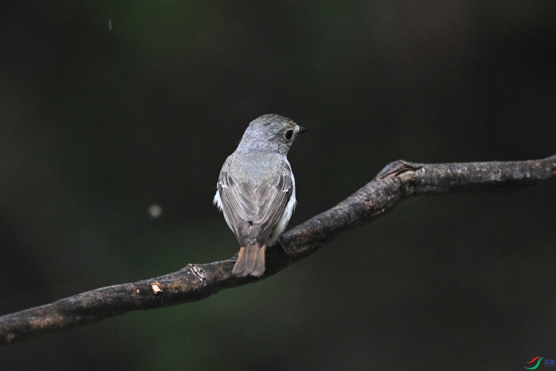 DSC_6791.JPG
