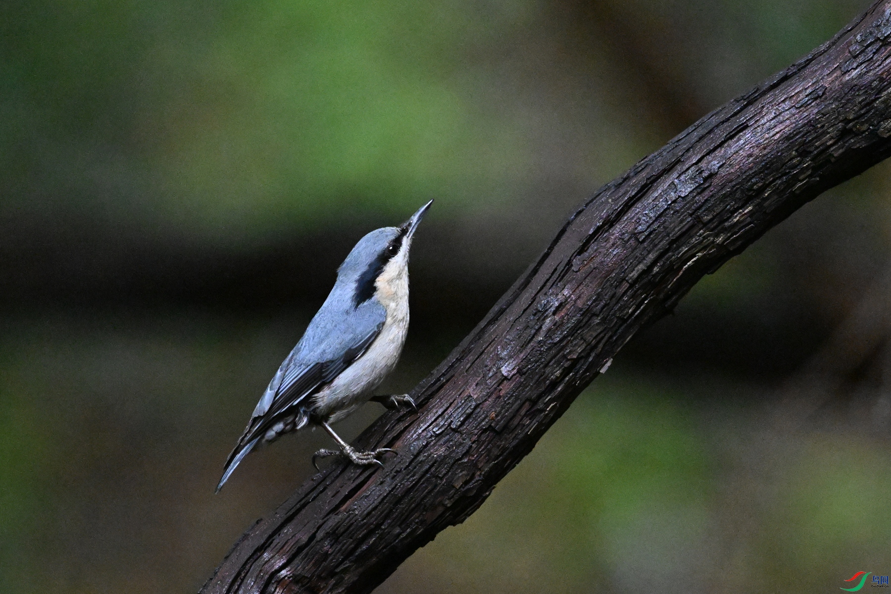 DSC_6783.JPG