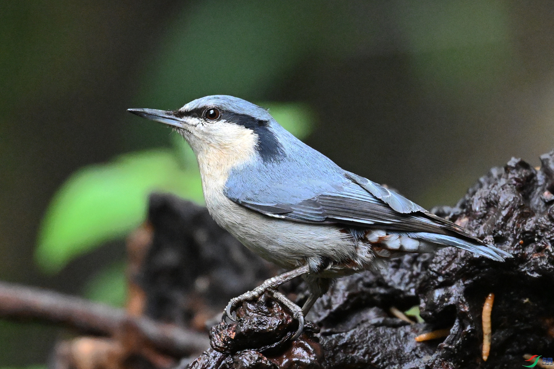 DSC_6774.JPG