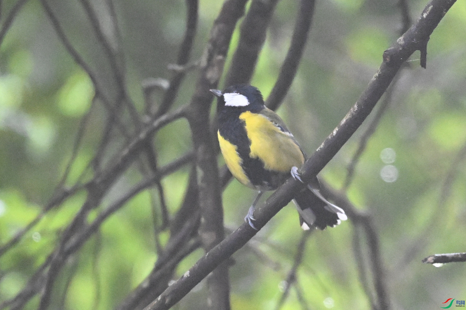 DSC_6795.JPG