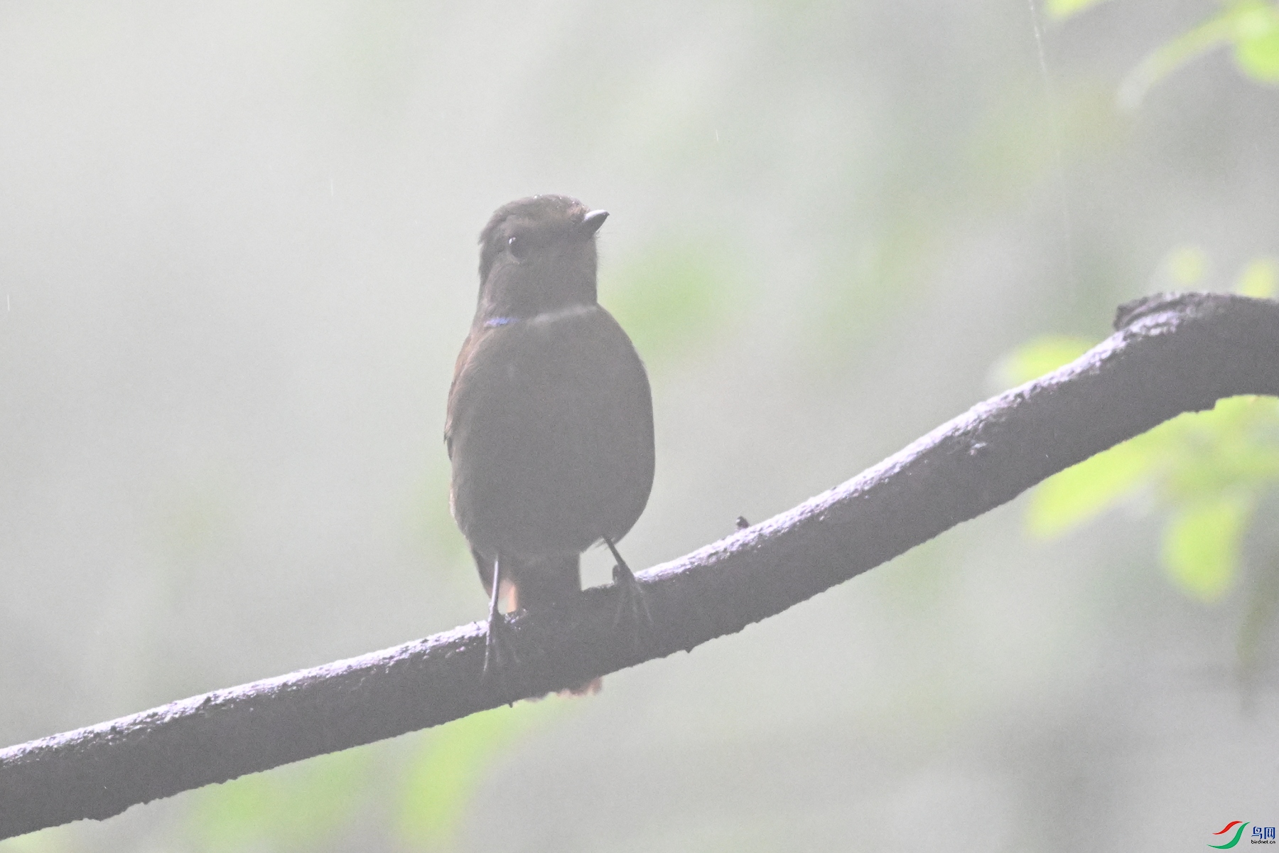 DSC_6804.JPG