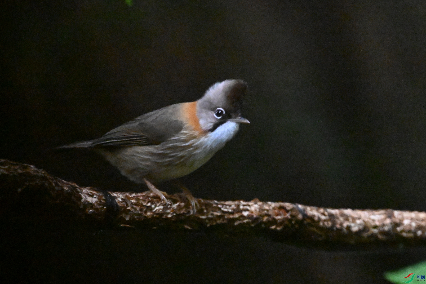 DSC_6782.JPG