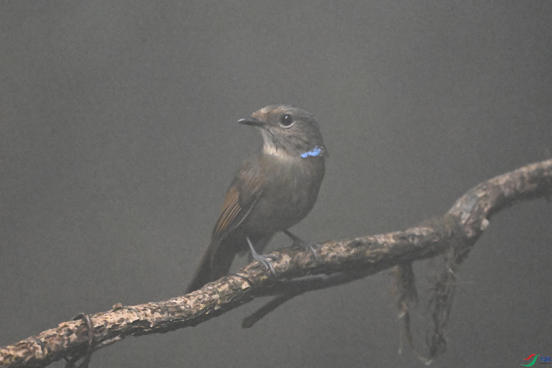 DSC_6786.JPG
