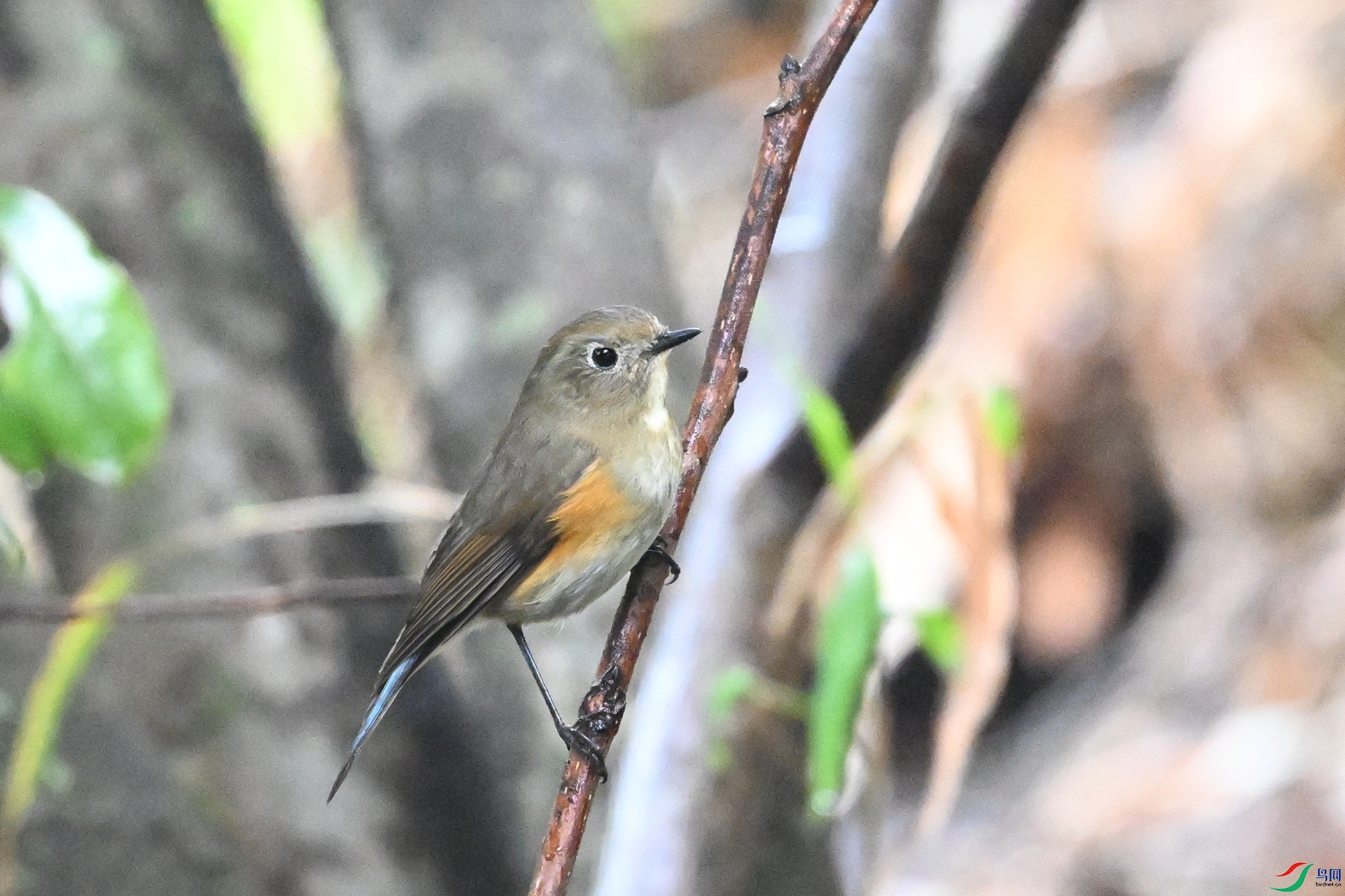 DSC_6794.JPG