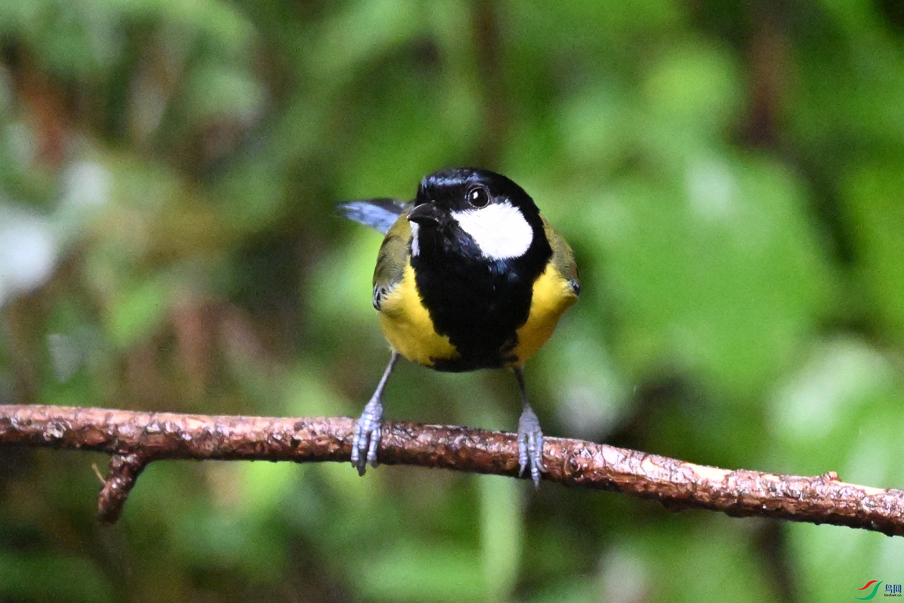 DSC_6764.JPG