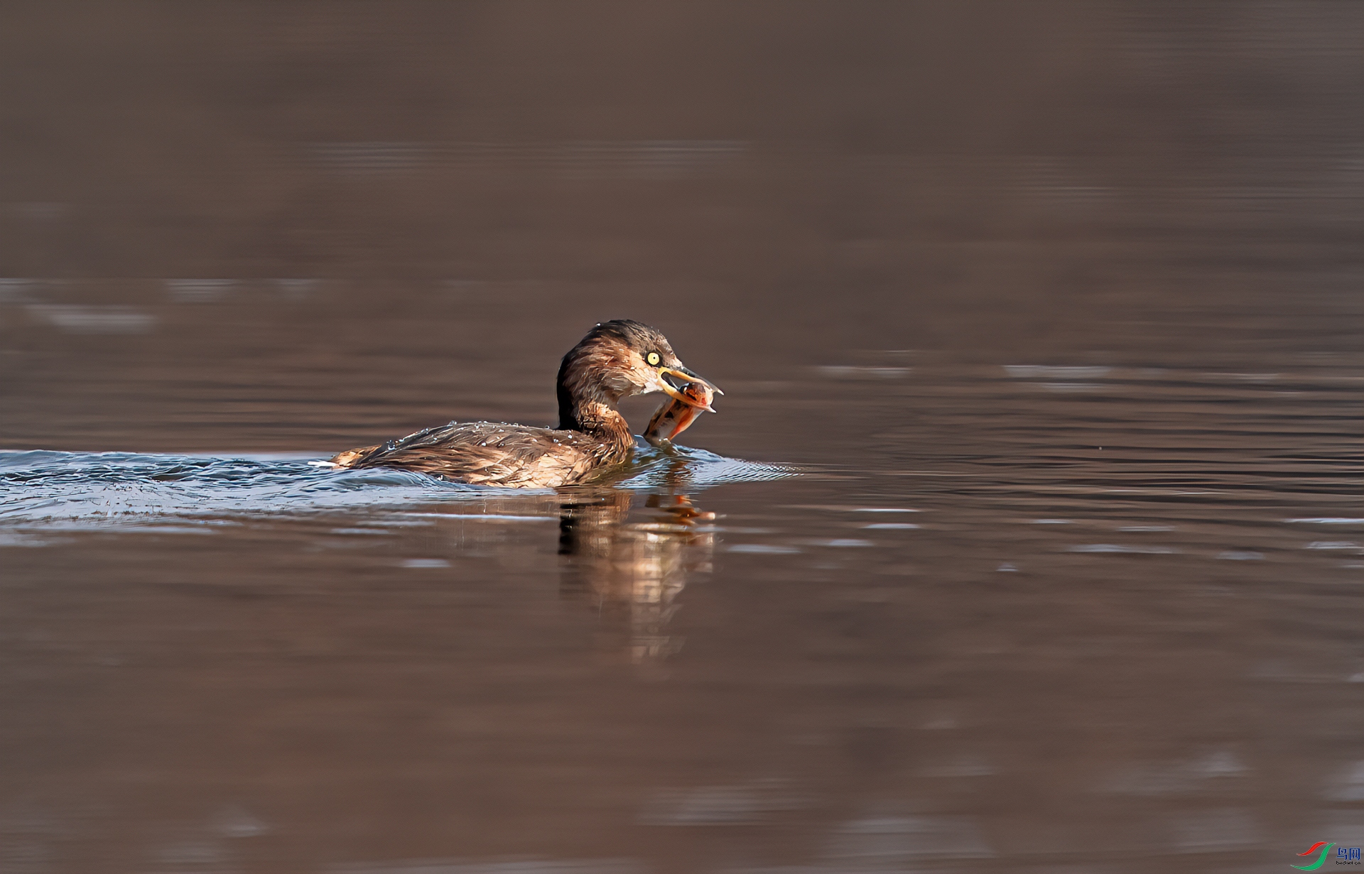 DSC_6170-11.jpg