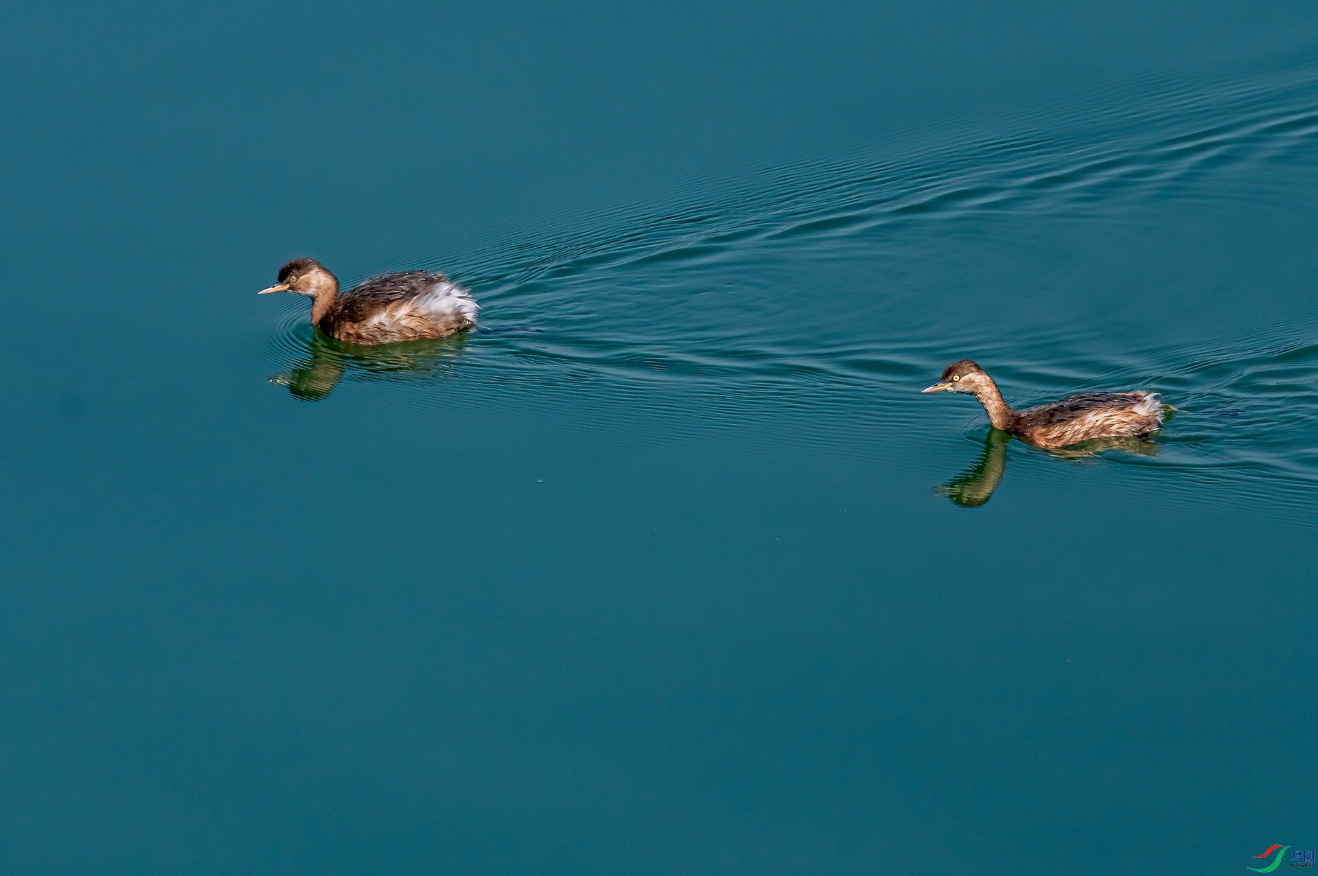 DSC_5590-11.jpg