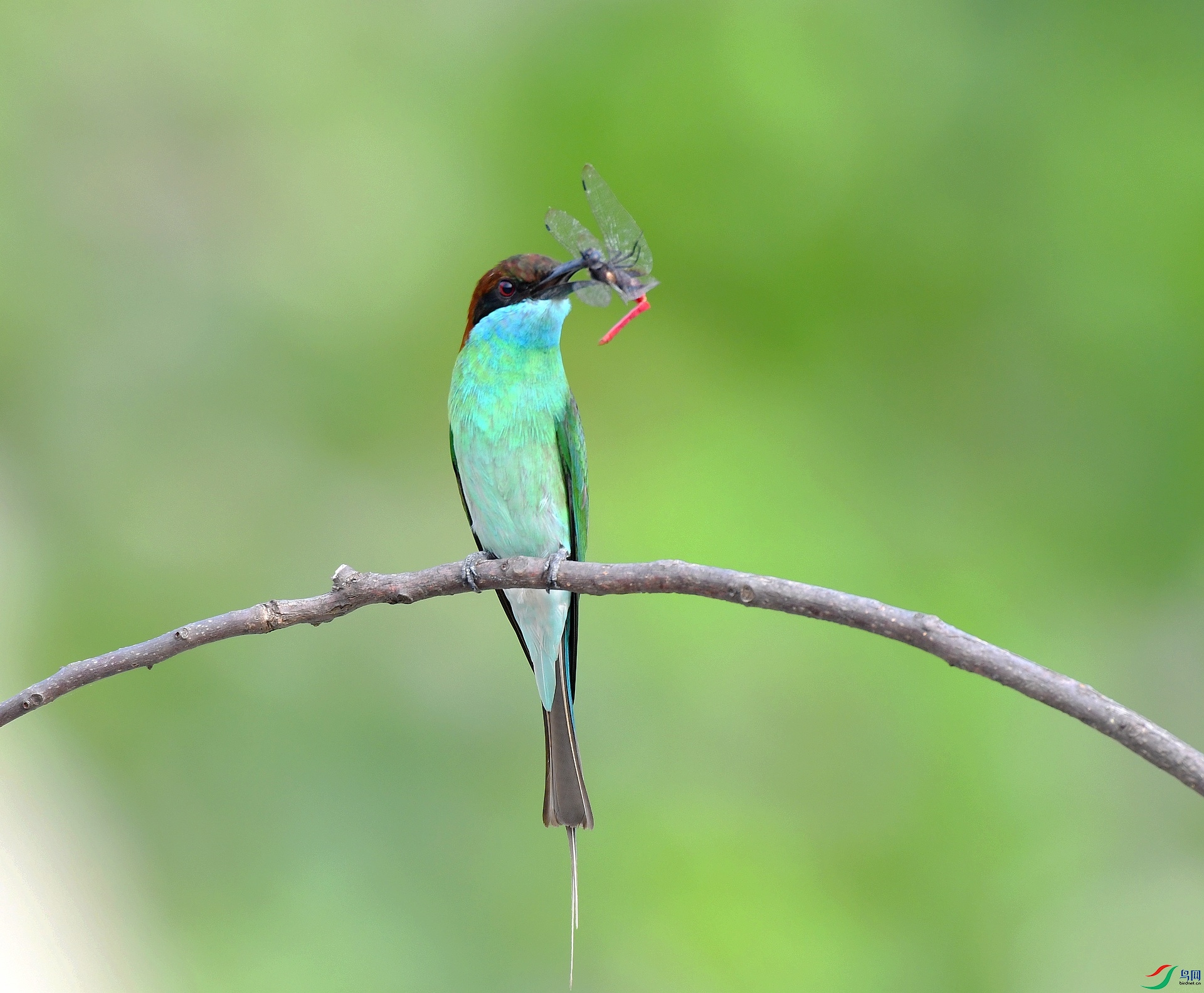 DSC_2710.jpg