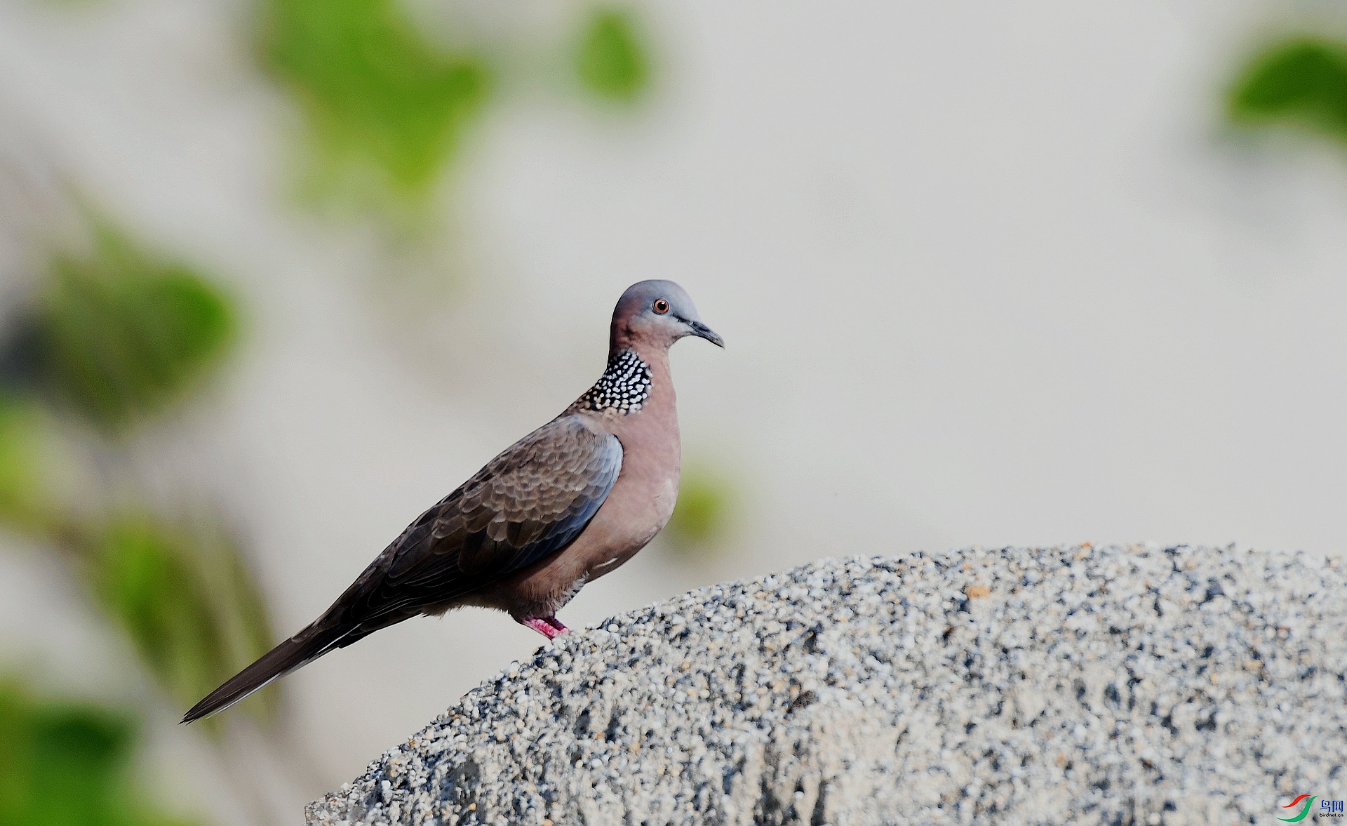 DSC_3208.jpg