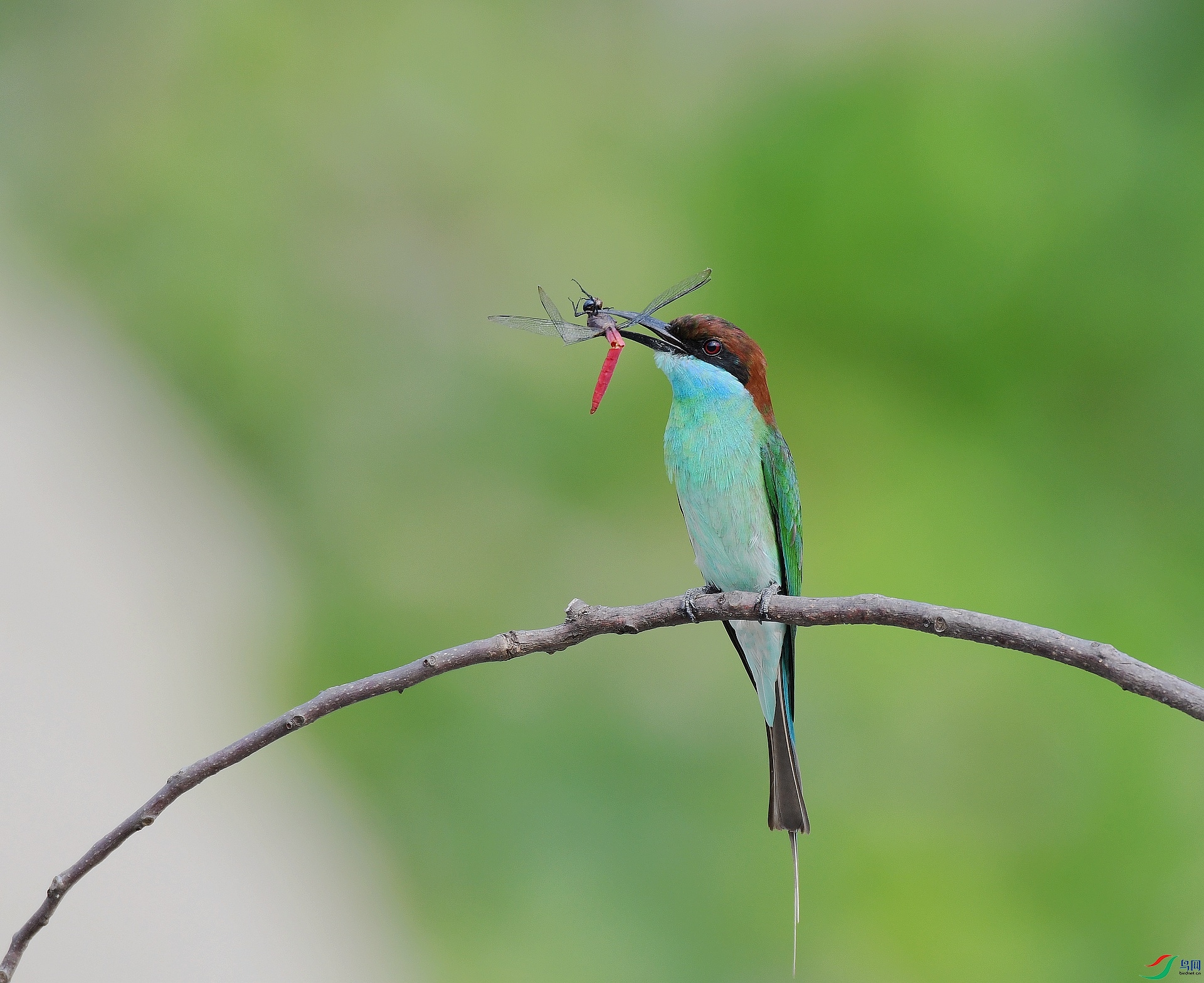DSC_2719.jpg