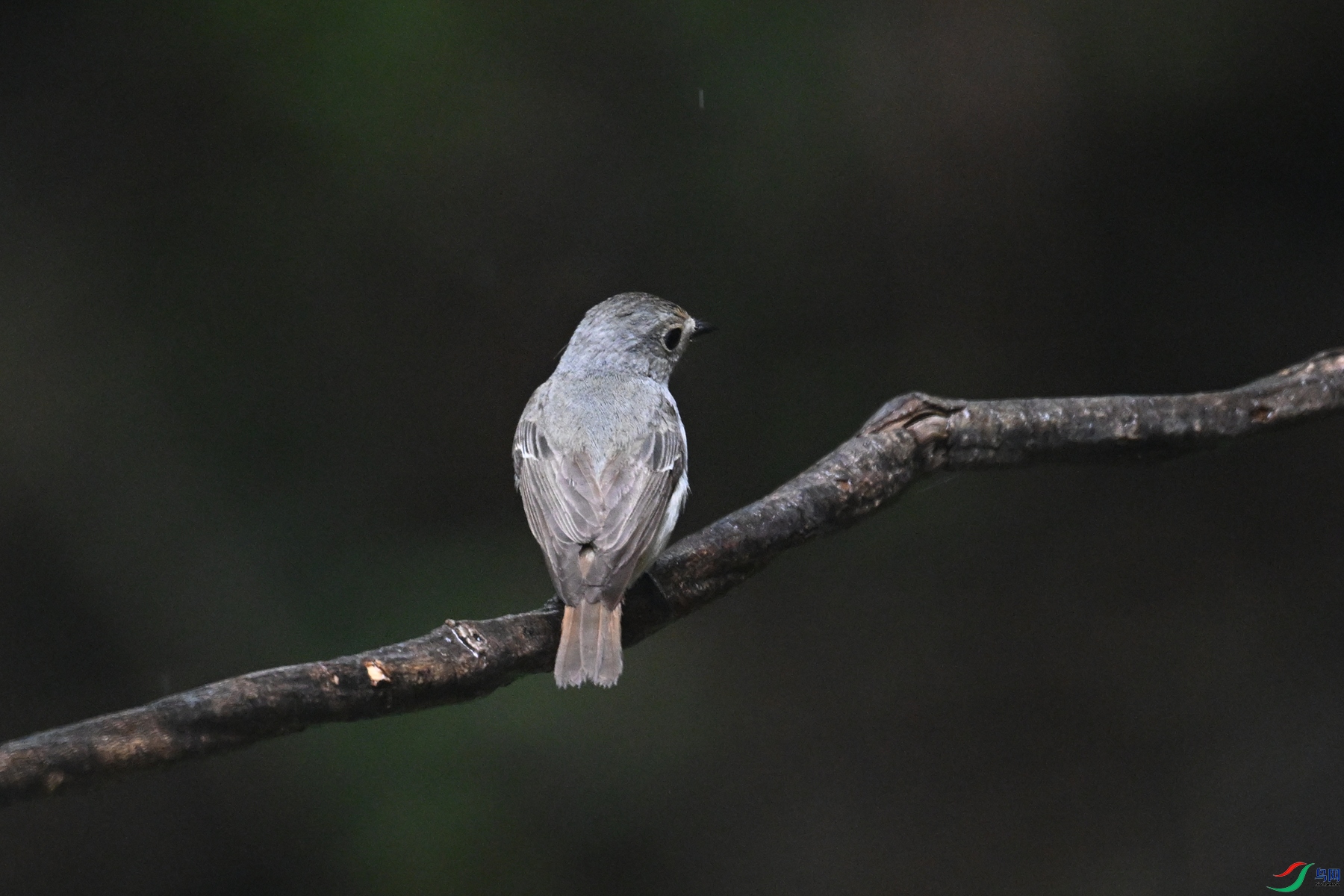 DSC_6793.JPG