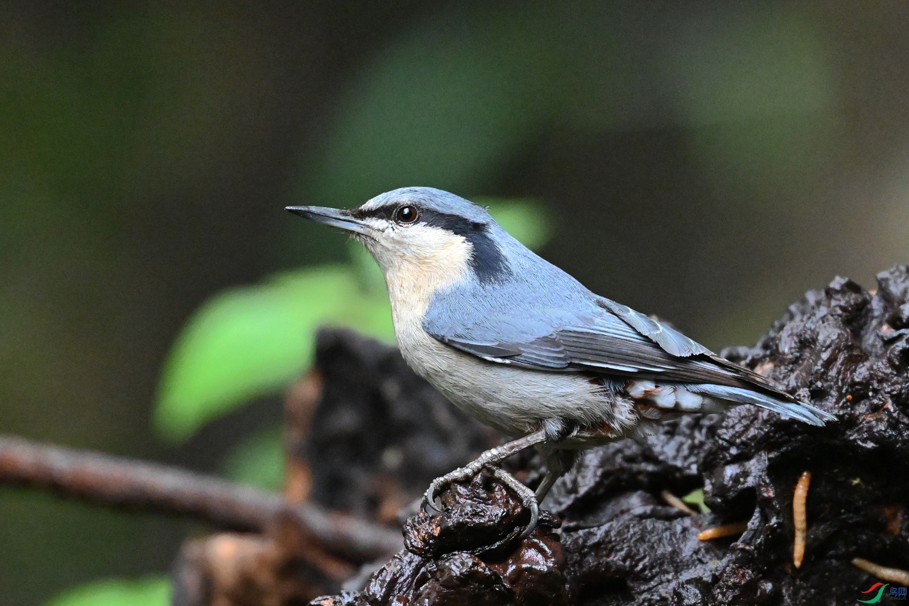 DSC_6775.JPG