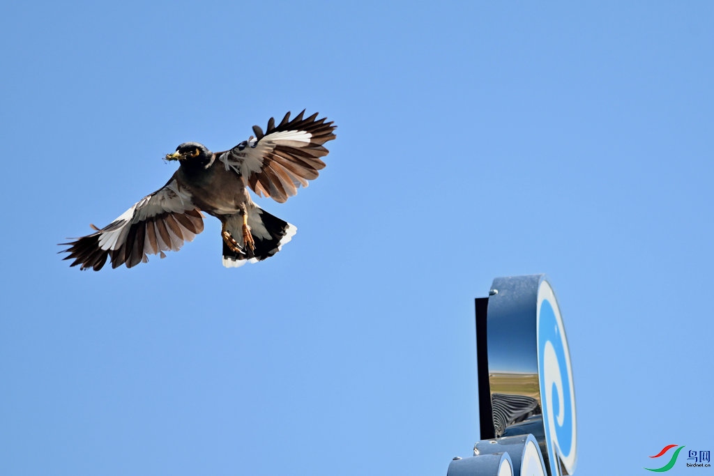 DSC_1342.jpg